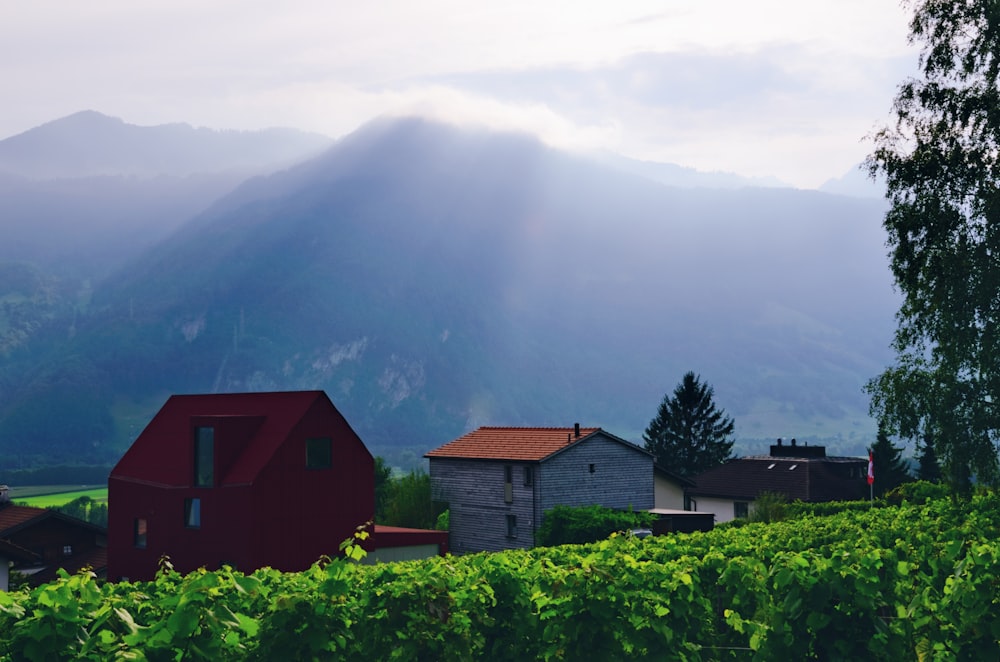 a group of buildings in a valley