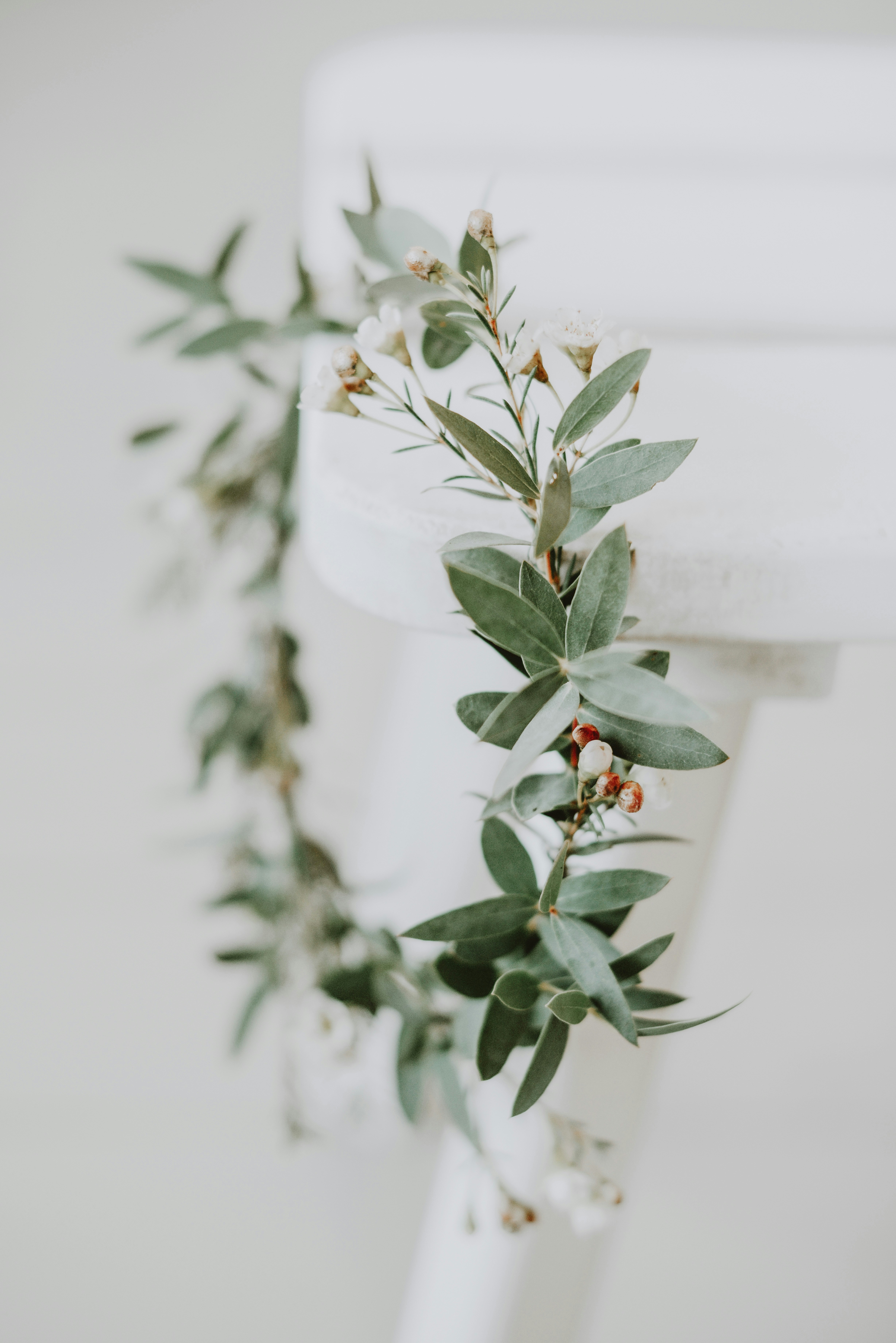 Photo by anitaaustvika