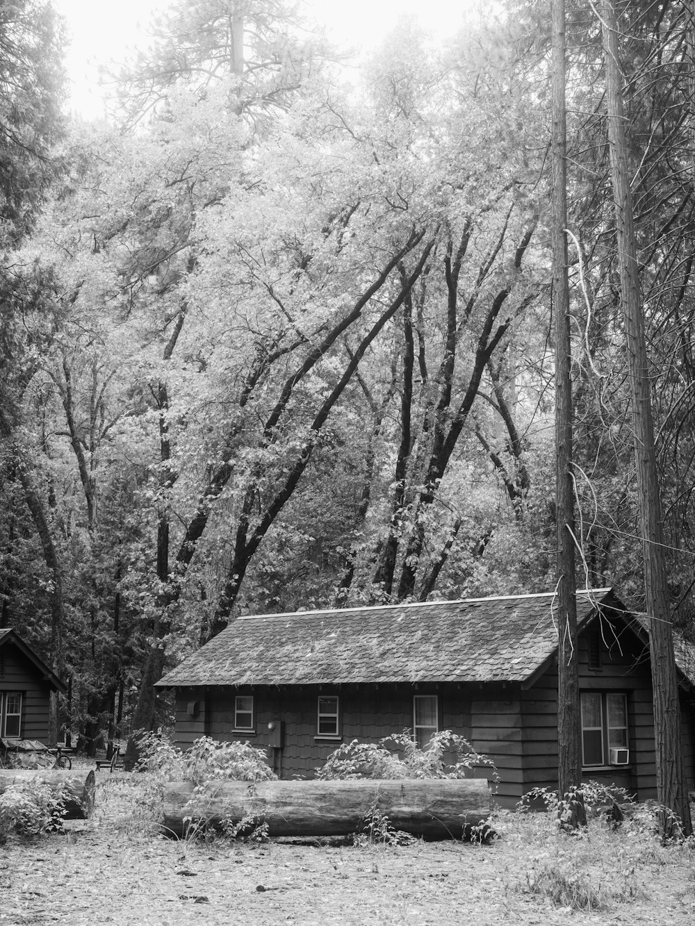 a house with trees around it