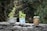 Three potted plants are placed on a stone wall. The plants are in makeshift containers, including a silver pot, a printed can, and a rusty tin can. Leafy green plants and succulents are present, with a background of dense foliage.