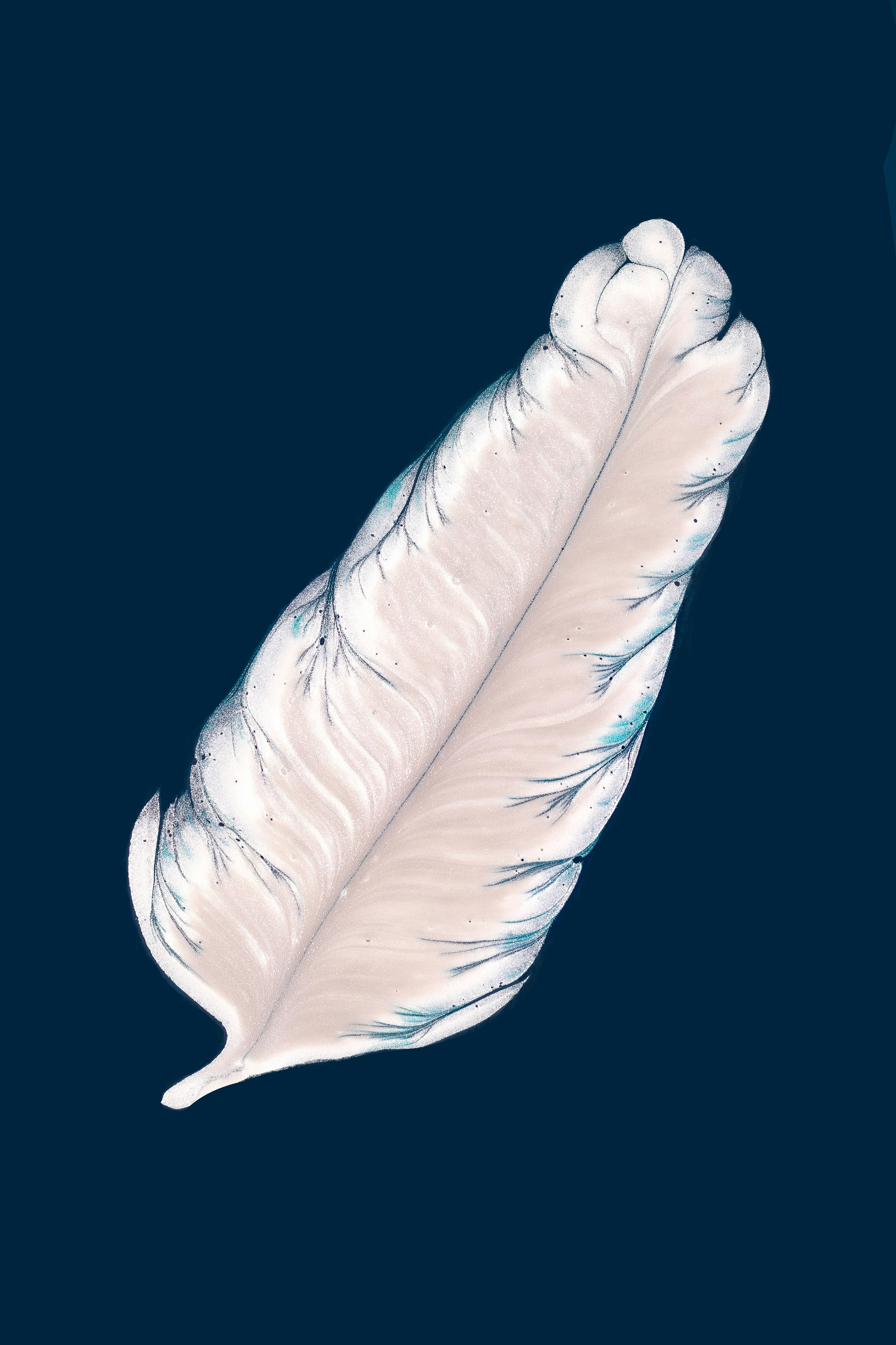 photo-1668276426835-fb00a6995b7c?ixid=M3wxMjA3fDB8MXxzZWFyY2h8M3x8JUQxJTgyJUQxJTgwJUQwJUI4JUQwJUJGJUQxJTgxJUQwJUJBJUQwJUIwJUQwJUJEfGVufDB8fHx8MTc1Mzg3NjI5NXww\u0026ixlib=rb-4.1.0