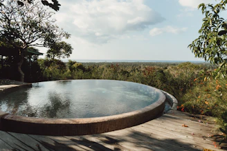 a pool of water surrounded by trees