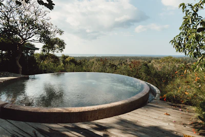 a pool of water surrounded by trees