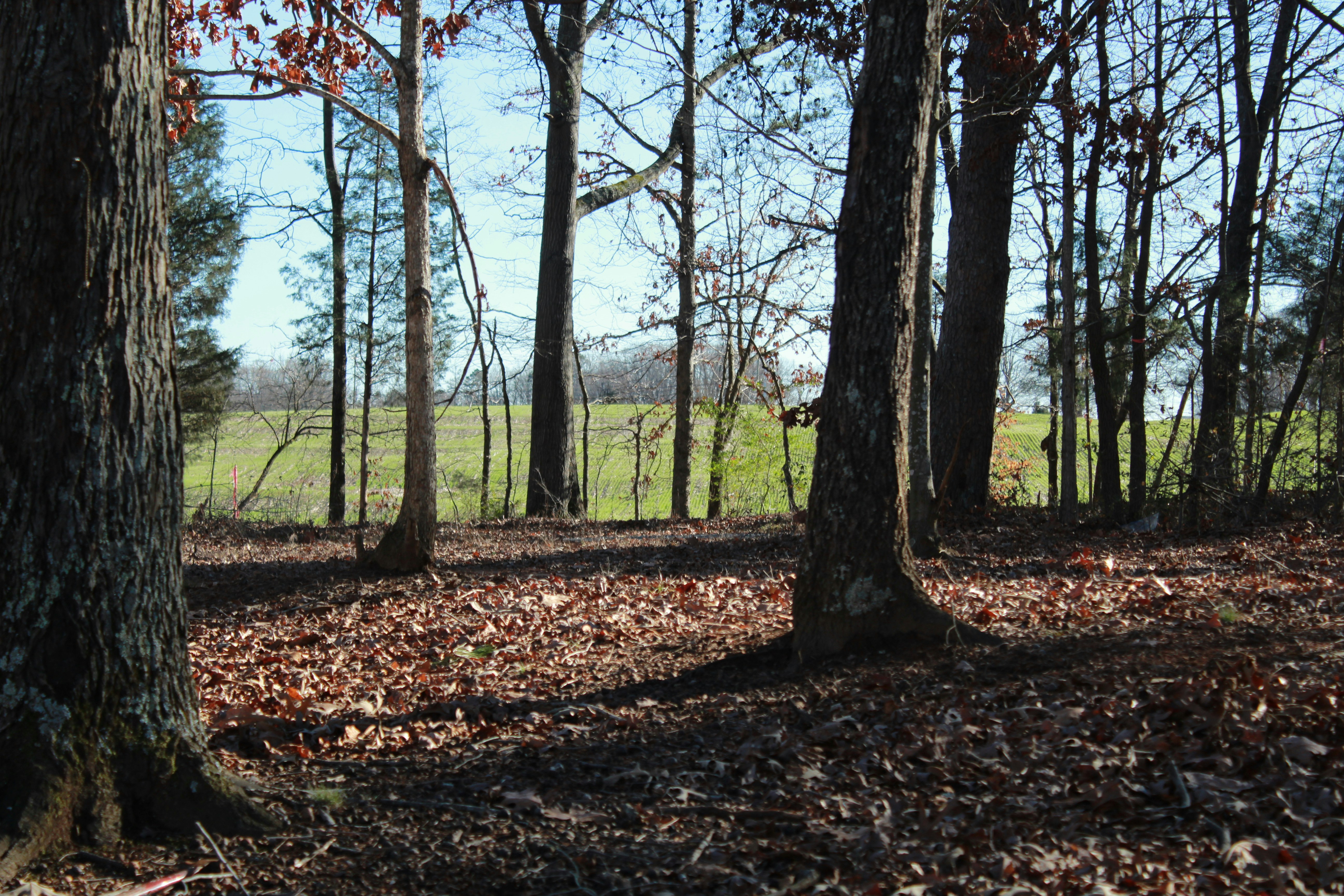 Photo by ahexposures