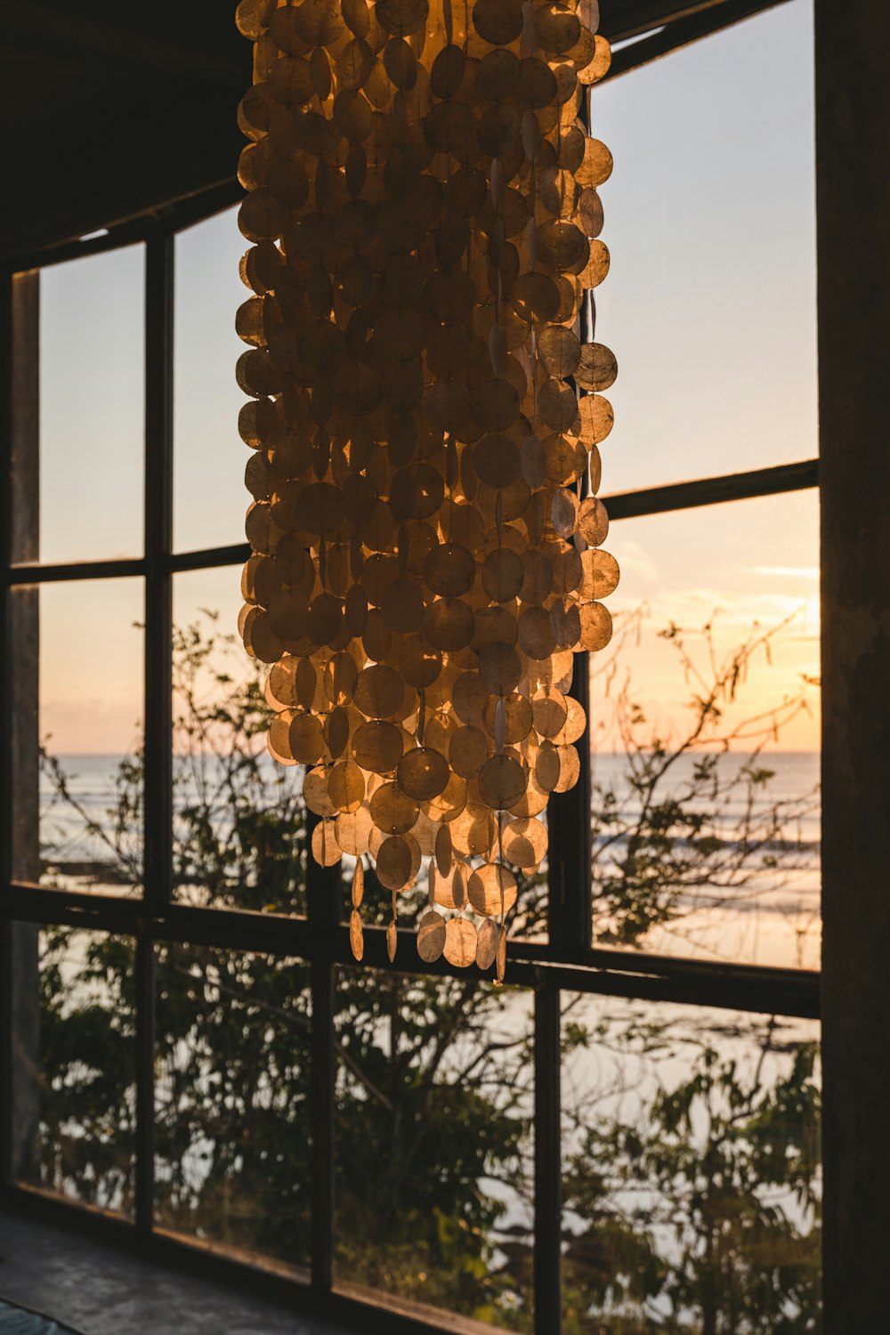 Un árbol con muchos troncos cortados