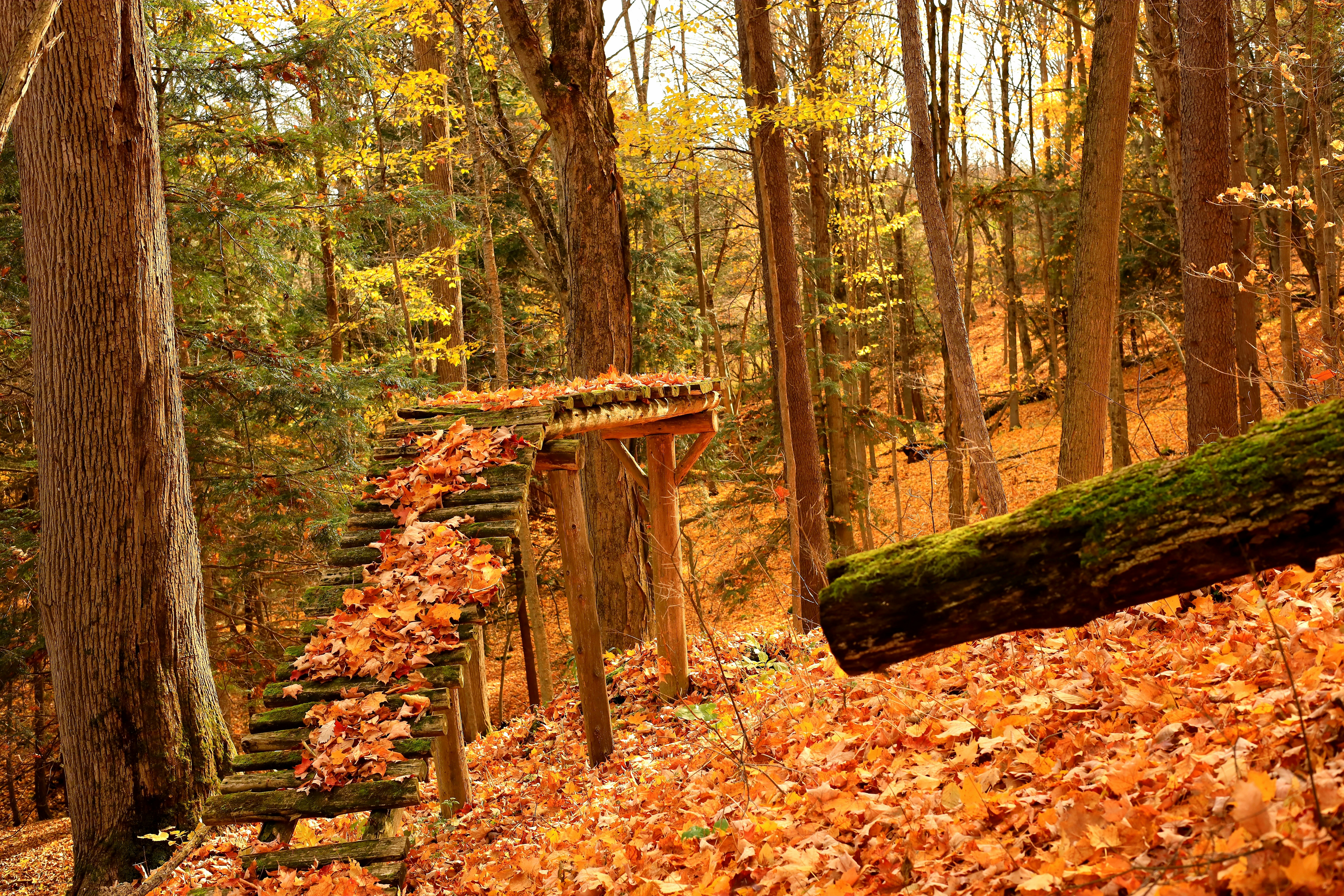 Photo by richardworks