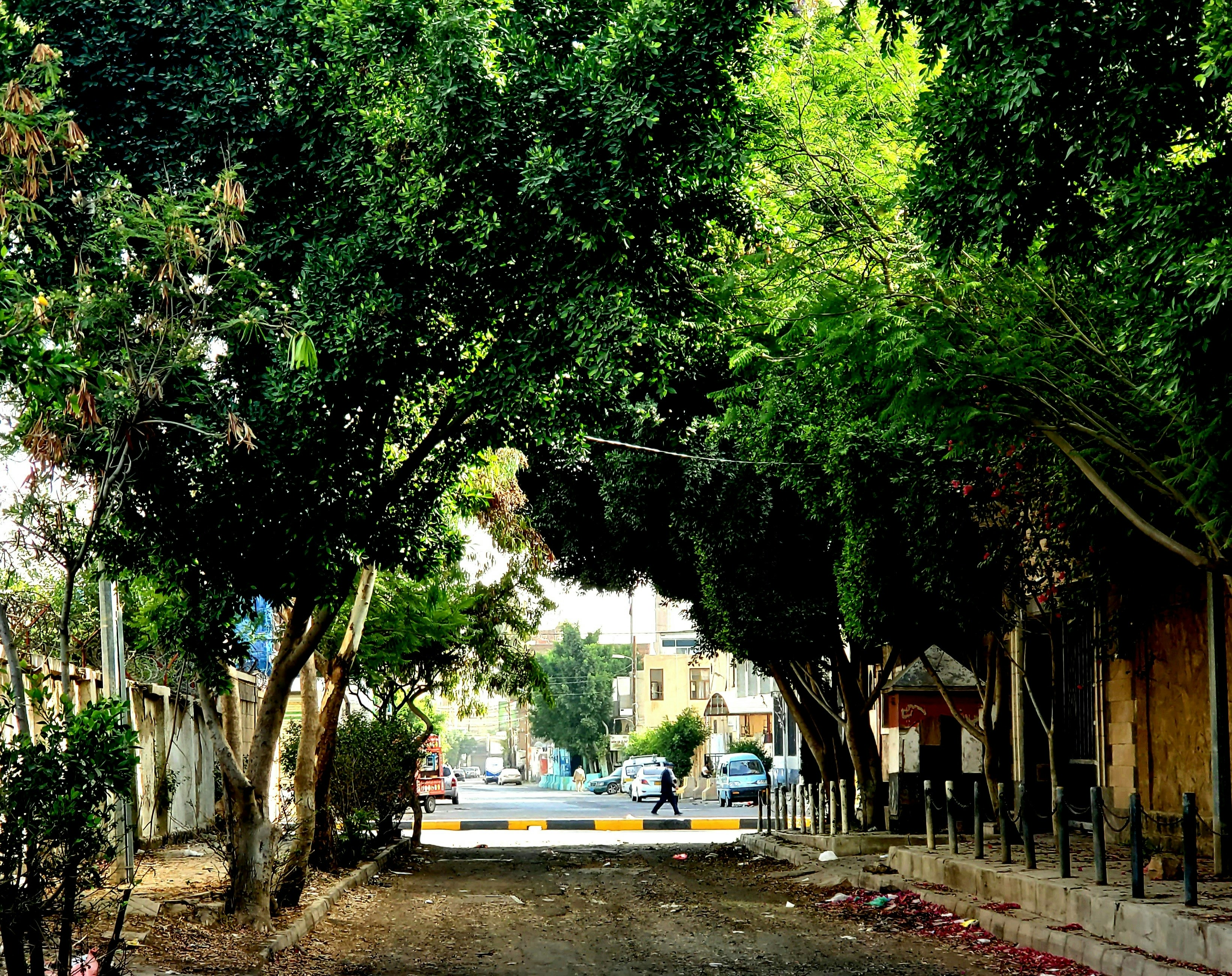 Photo by alhanesh