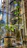 Close-up of a modern self-watering plant pot with thriving green plants on a sunny windowsill.
