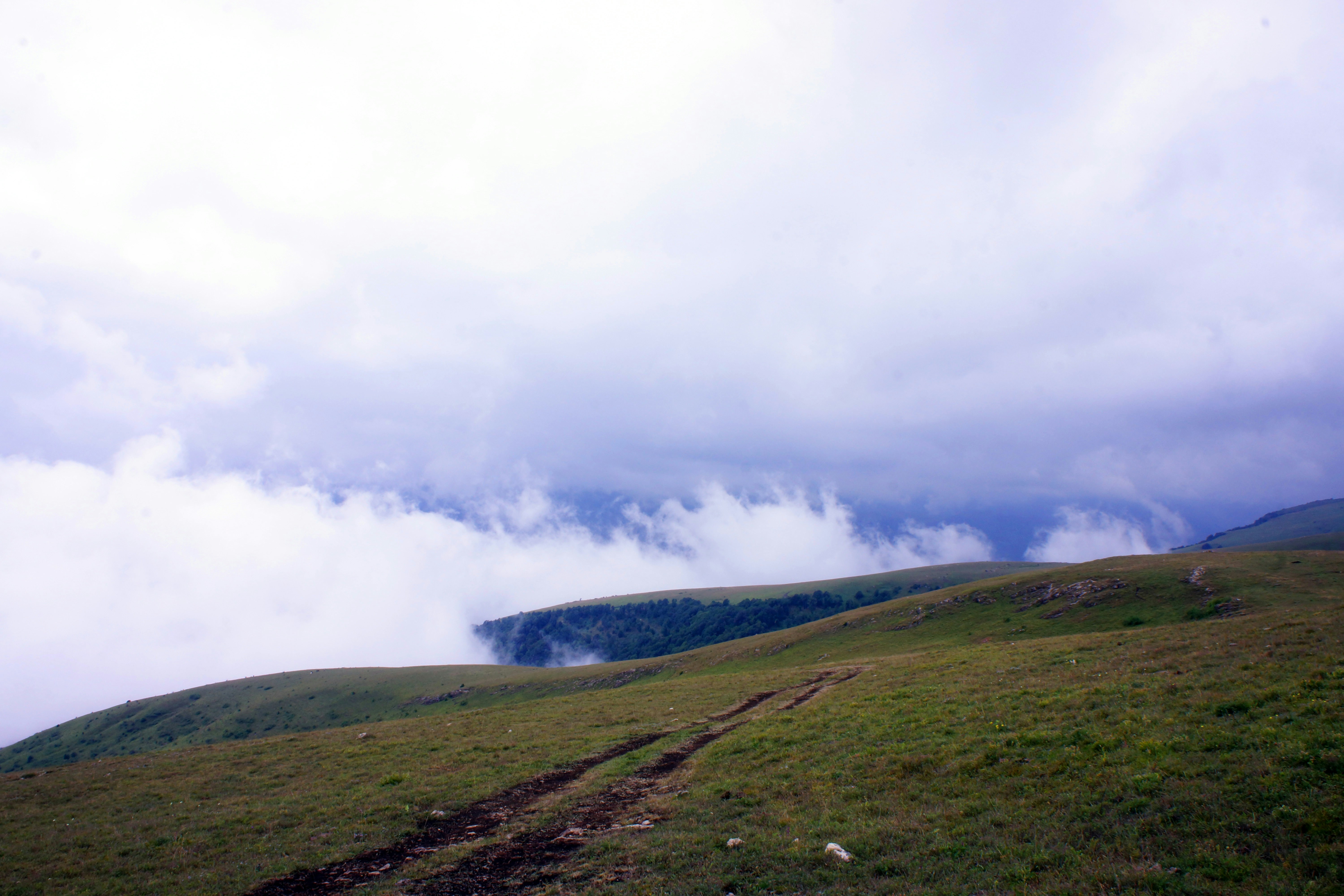 Photo by danilkinkin