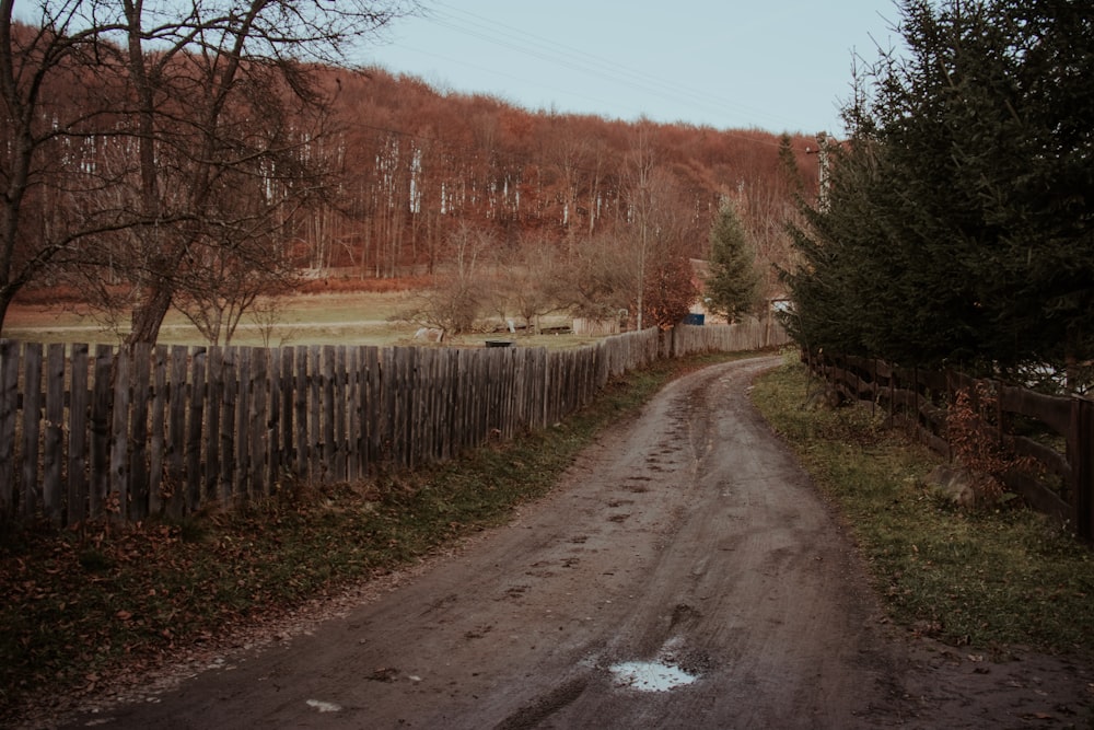 a dirt road with a fence and trees on the side