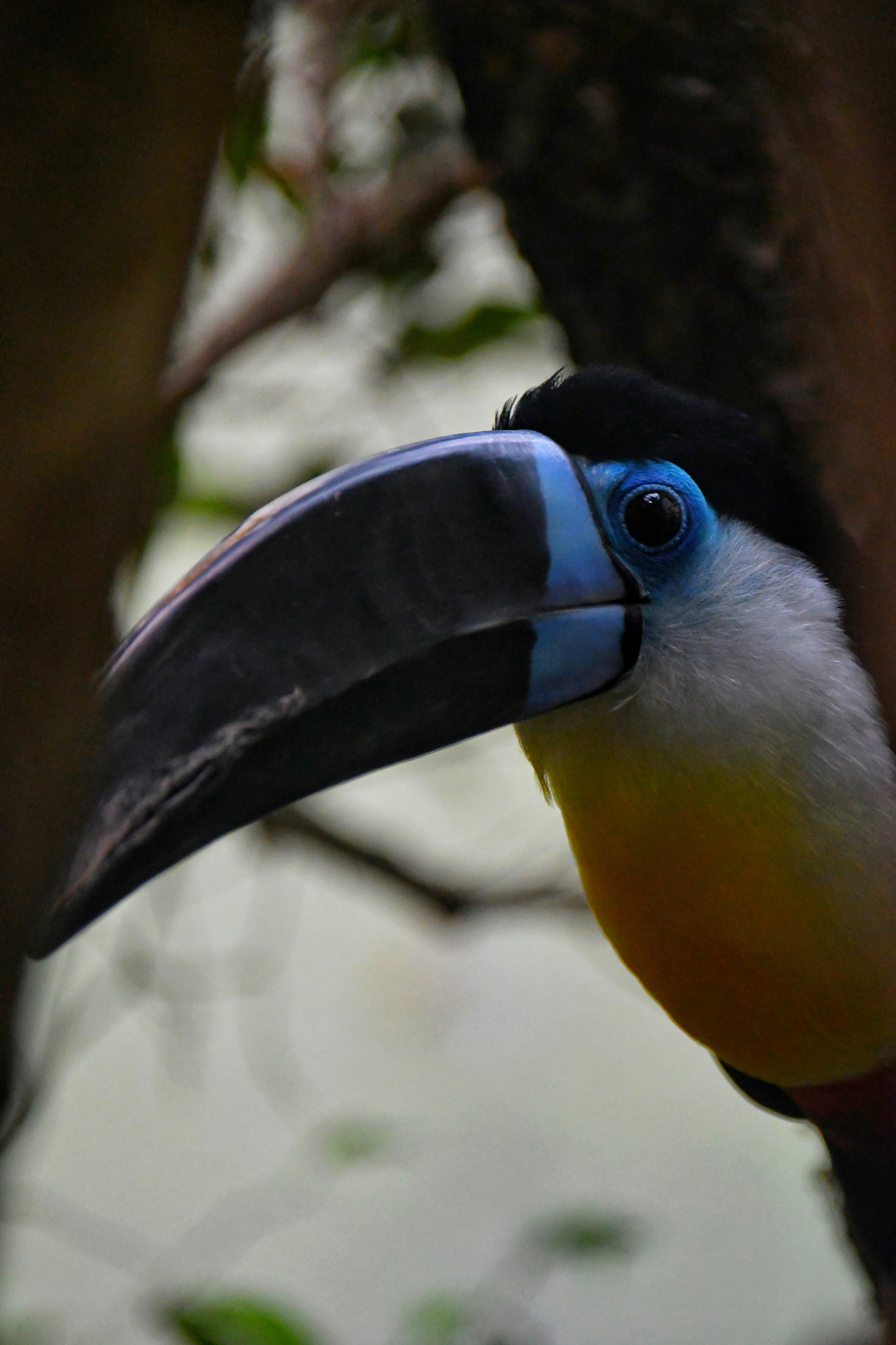 Photo by pedrino5_official