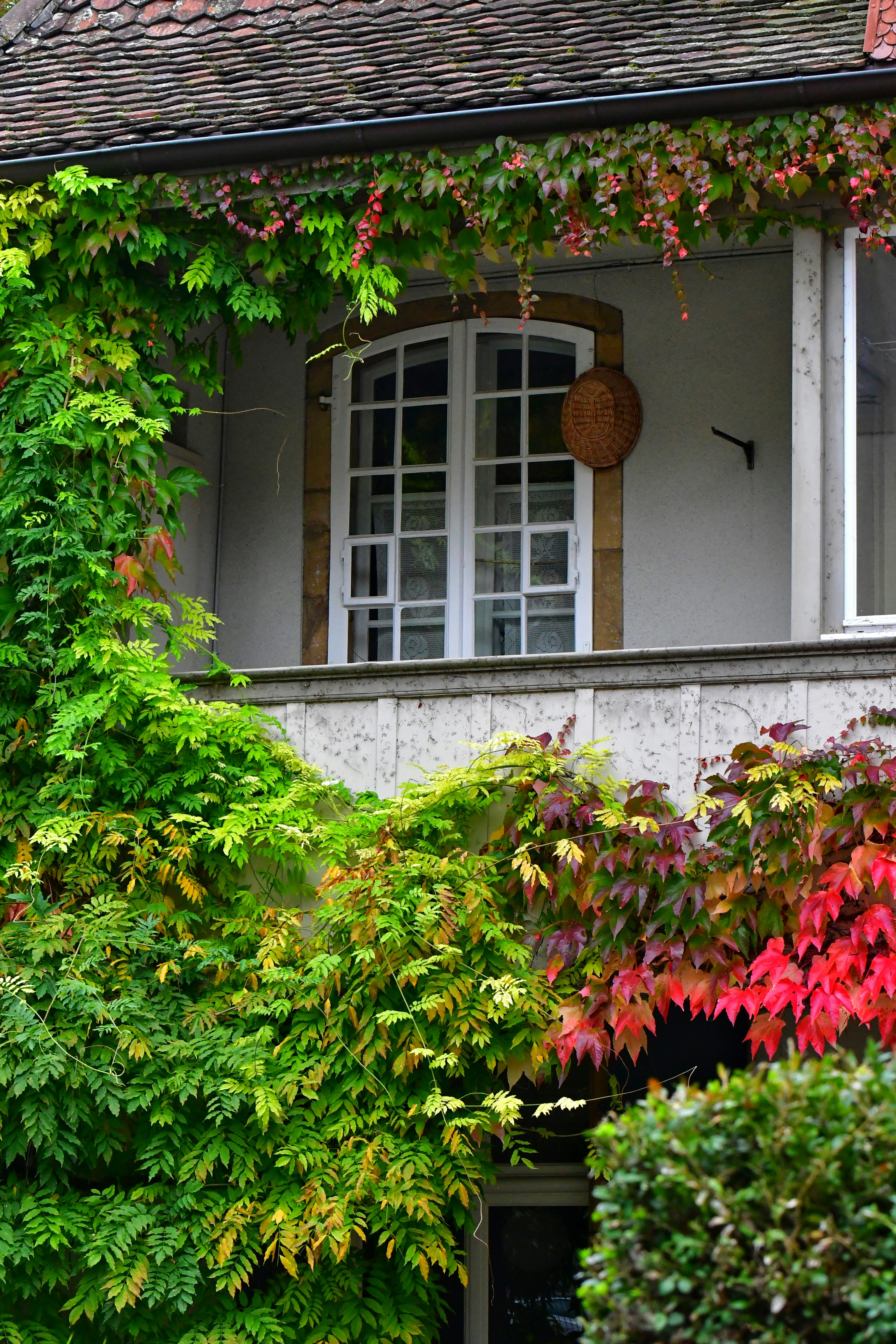 Photo by pedrino5_official