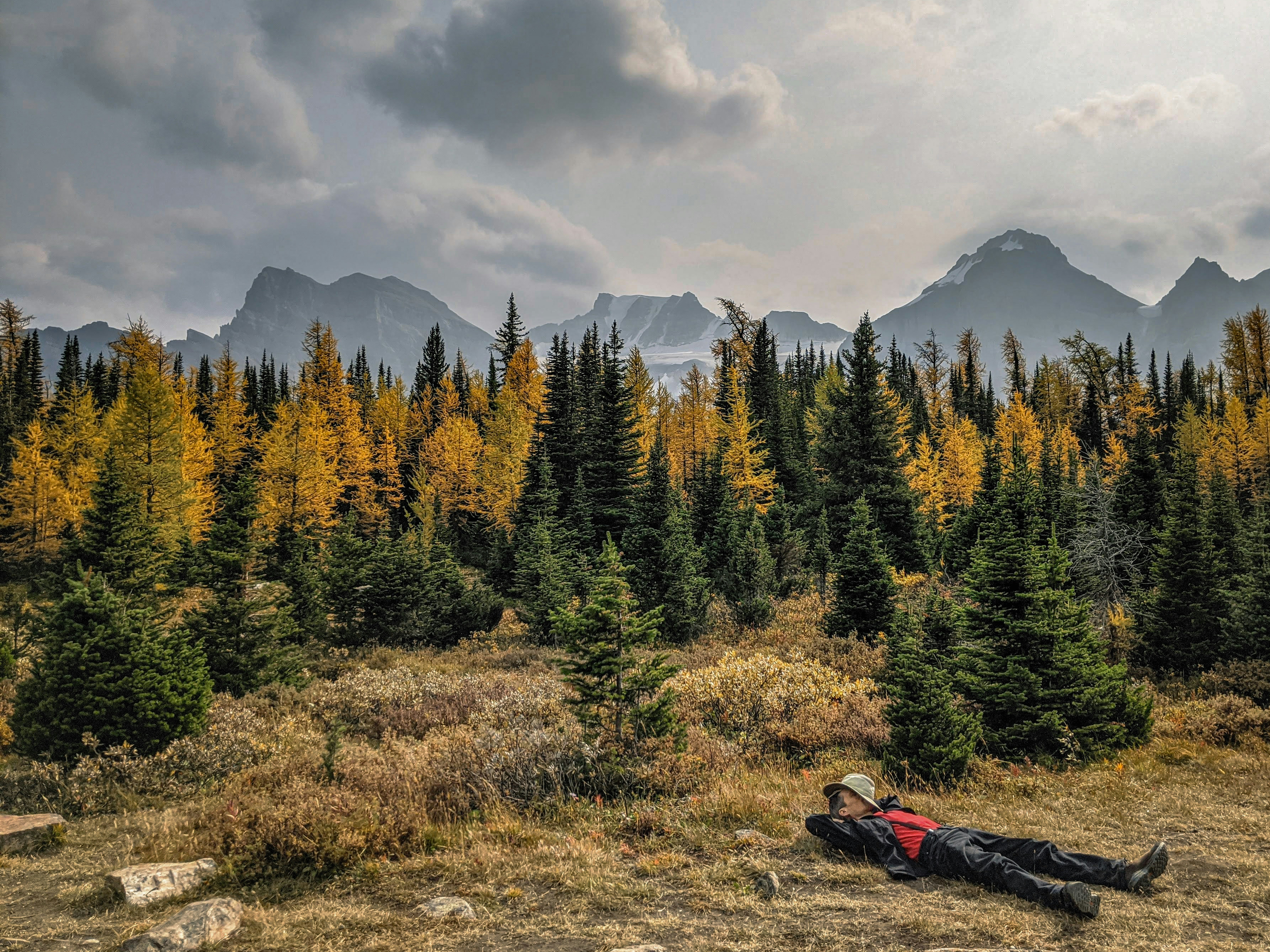 a person lying on the ground with trees and mountains in the background