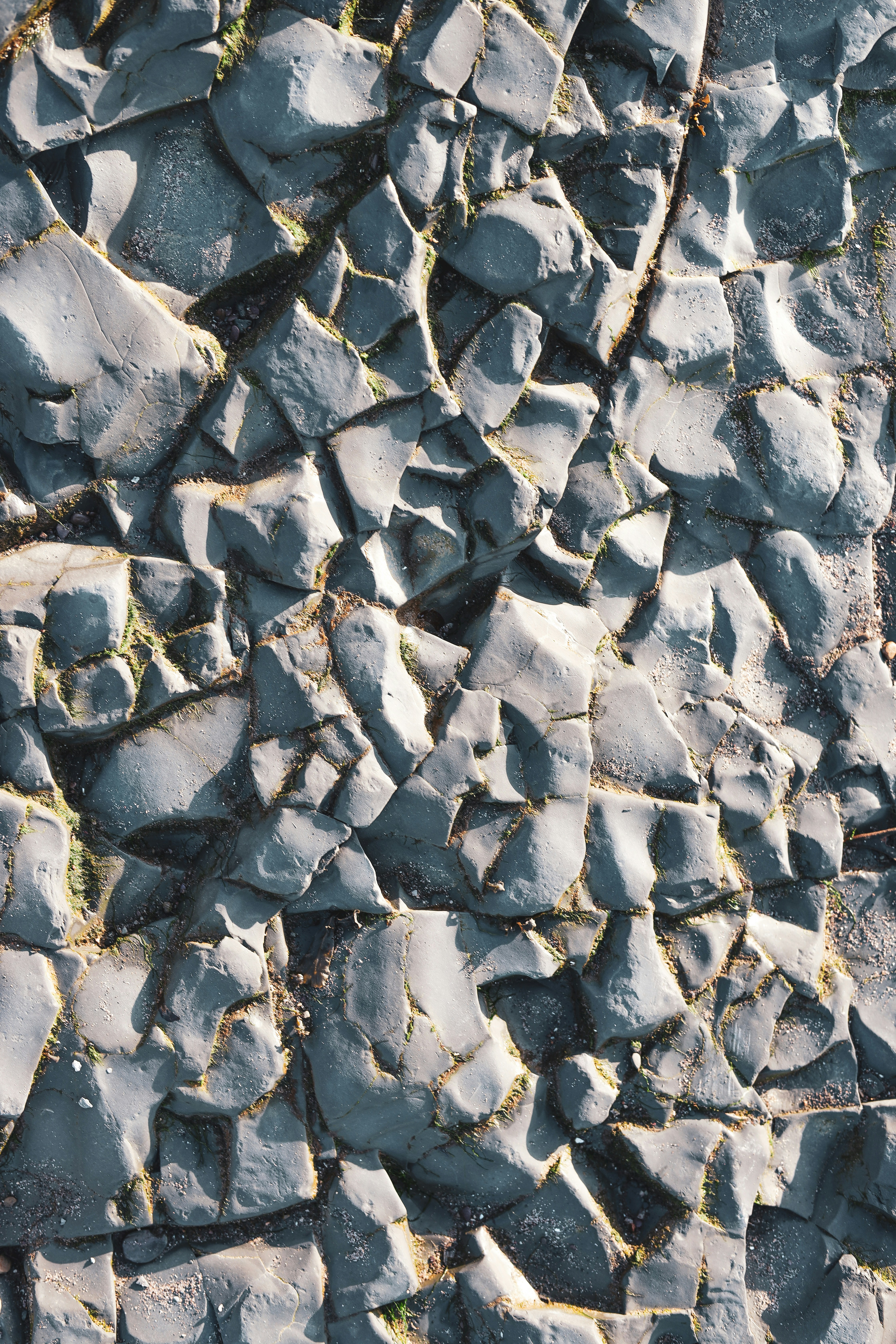 Photo by secondsight