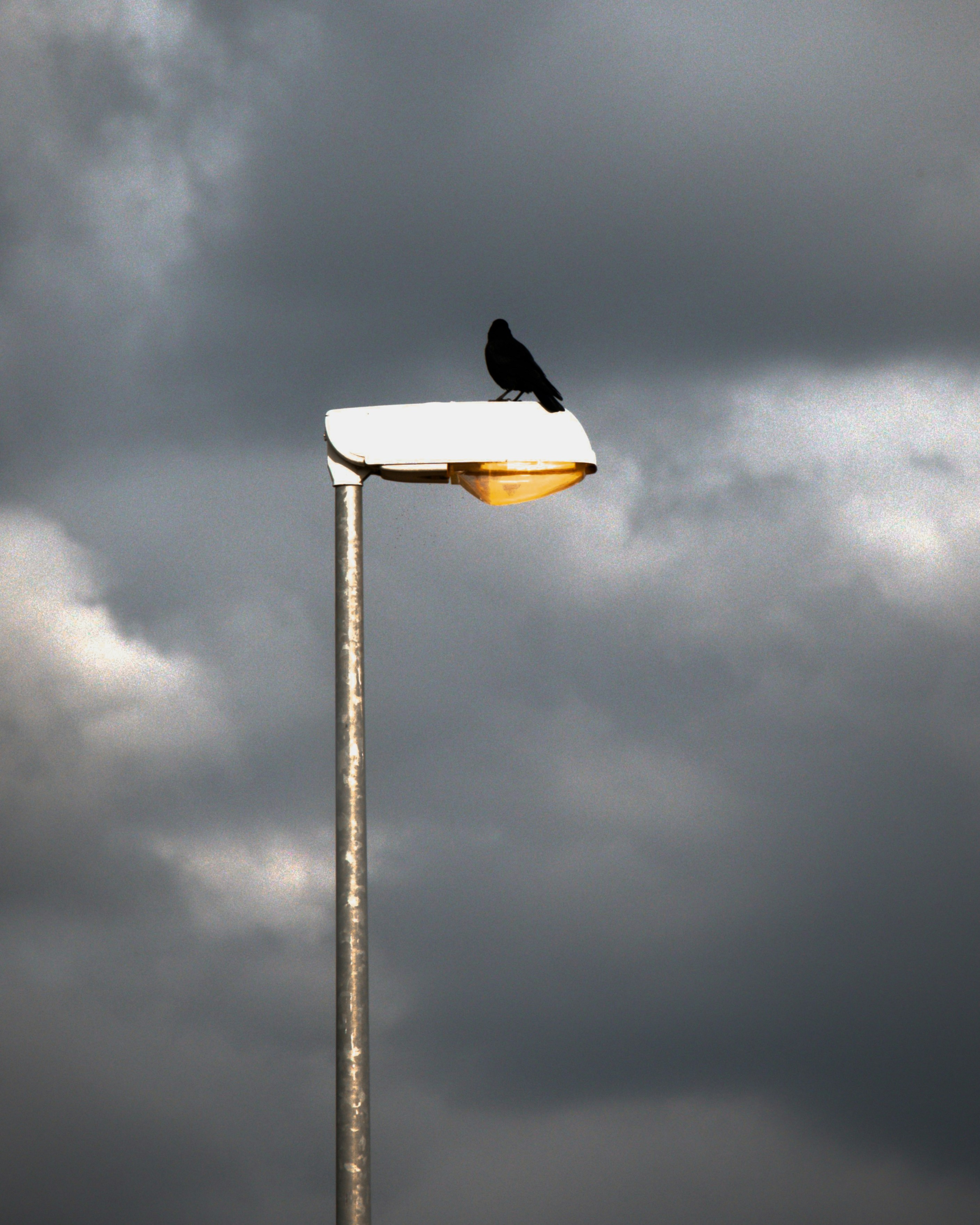 Photo by sebastian144