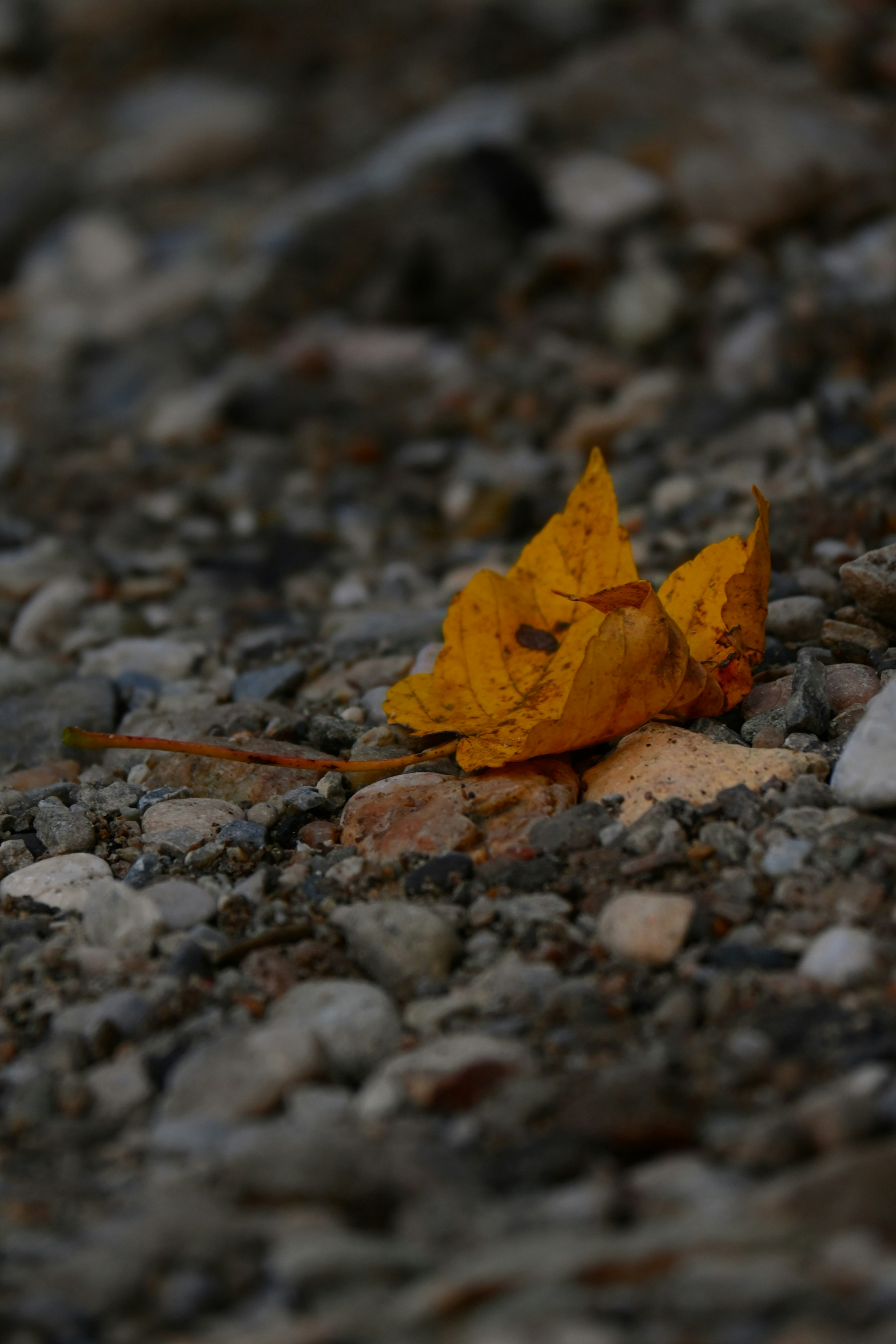 Photo by sebastian144