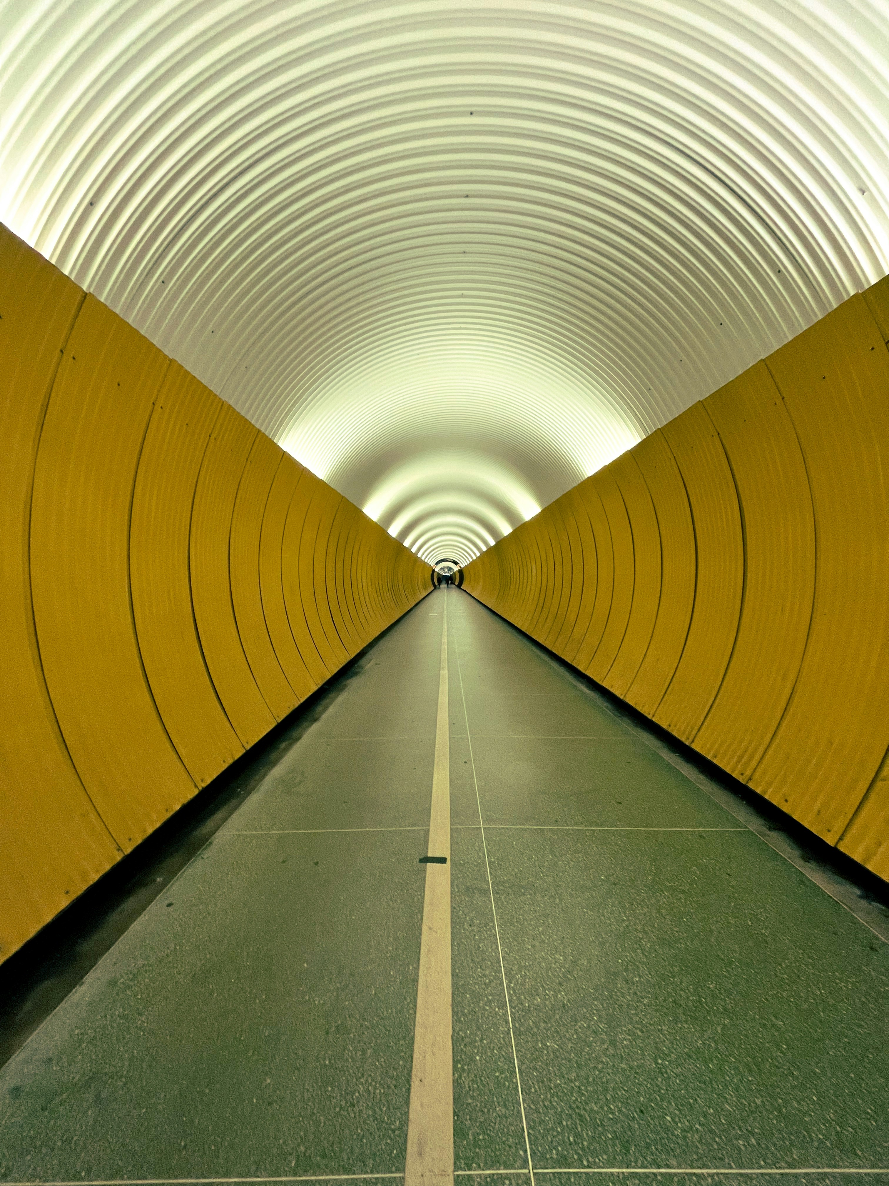 Field Review: Best Hosted Tunnels & Low‑Latency Testbeds for Live Trading Setups (2026)