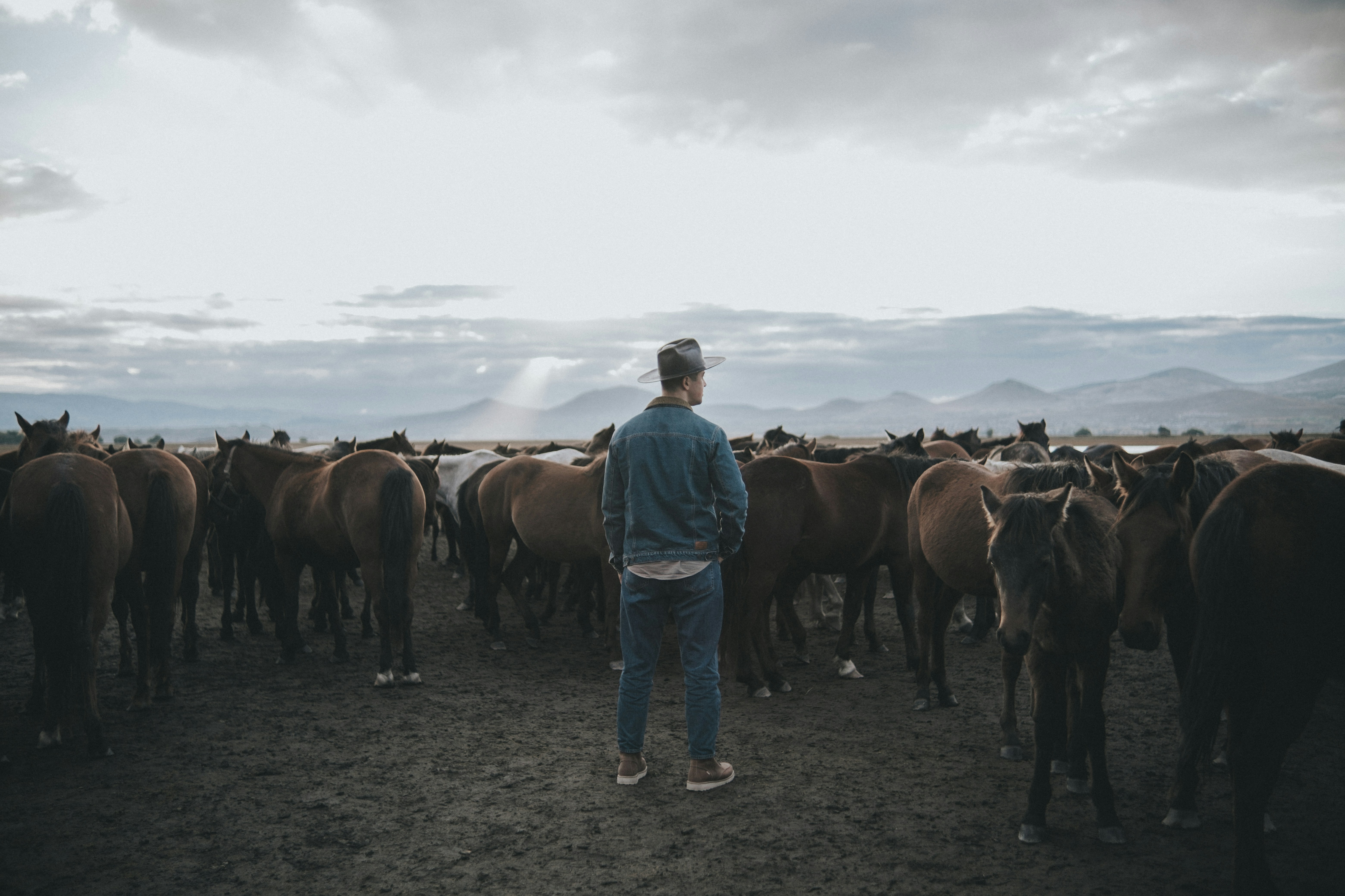 Photo by feyzayildirim