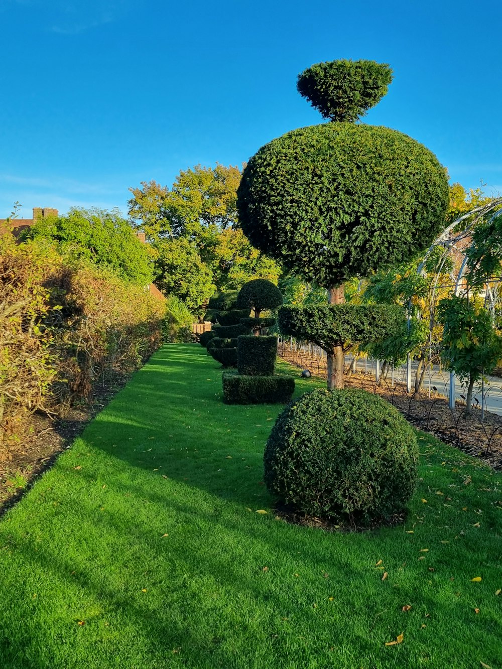 a green lawn with trees and bushes