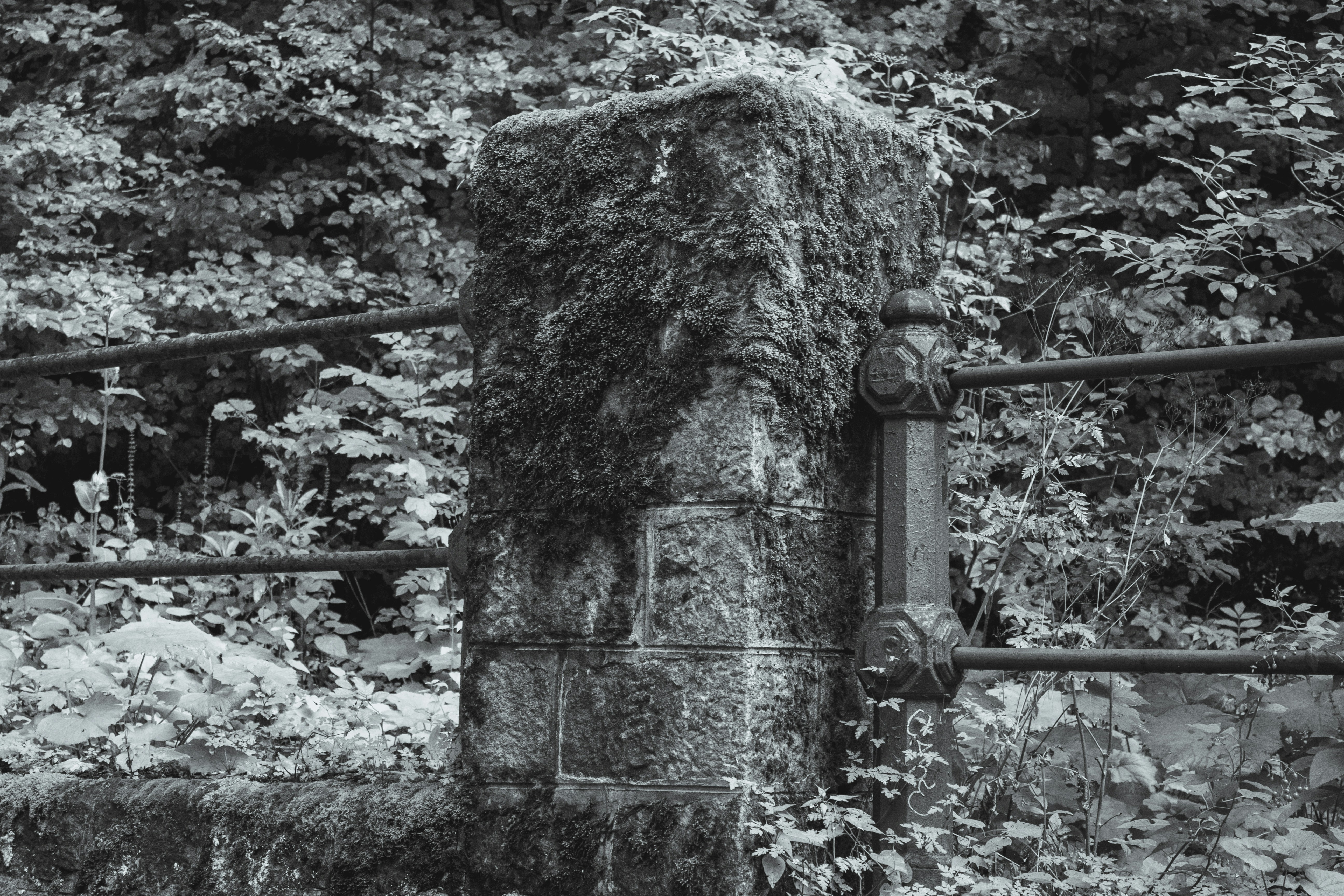 Kilmarnock cityscape