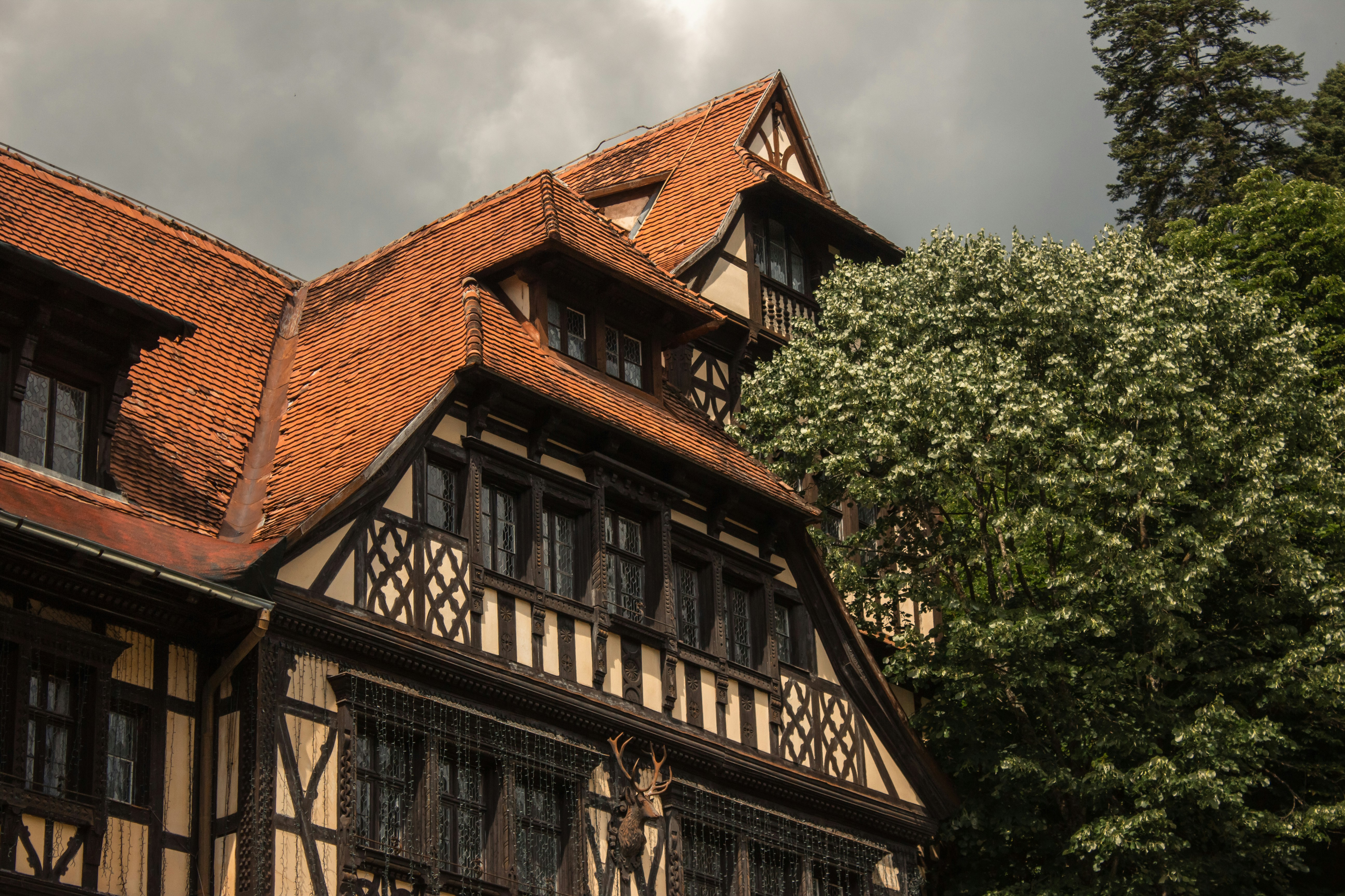 Photo by reanimatedmanx