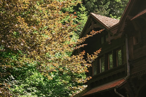 A rustic wooden house partially obscured by thick foliage. The leaves are a mixture of brown and green shades, indicating a dense, verdant setting. The architecture features slanted roofs with visible wood texture and small windows, suggesting a cabin-like aesthetic nestled in a forest environment.