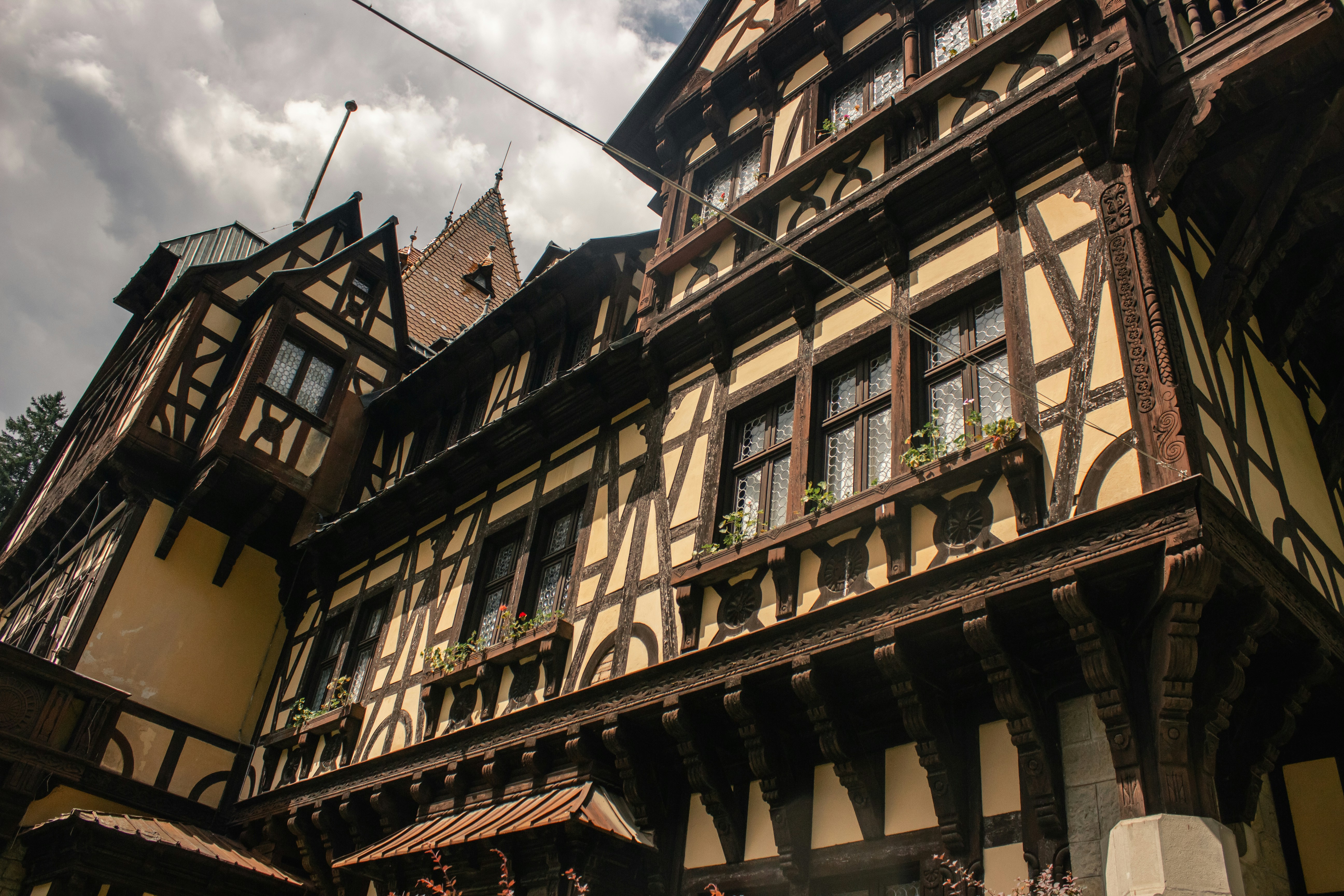 Photo by reanimatedmanx