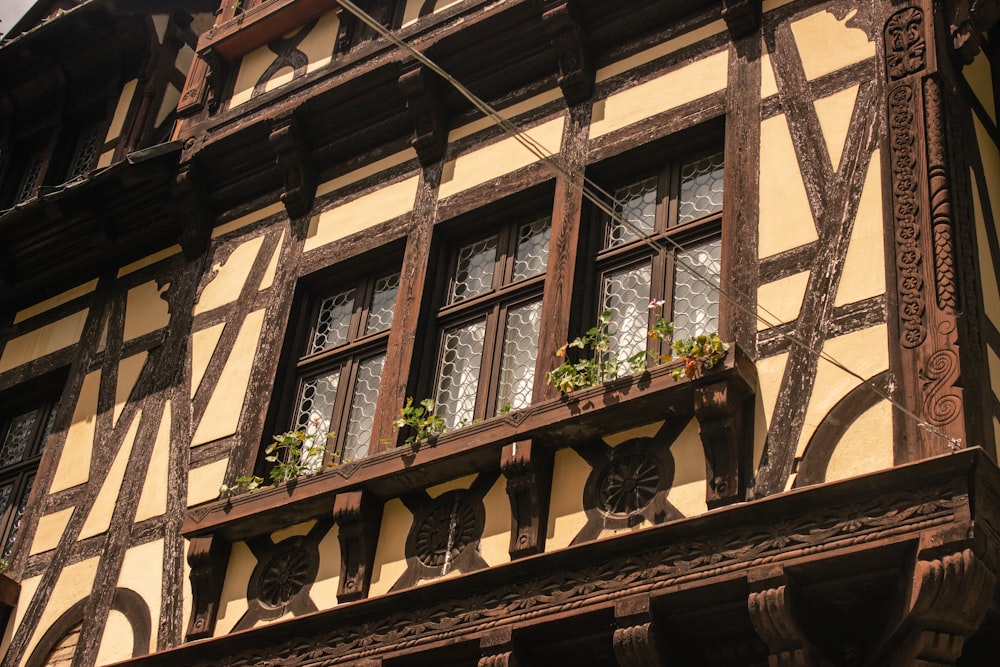 a wooden building with windows and plants