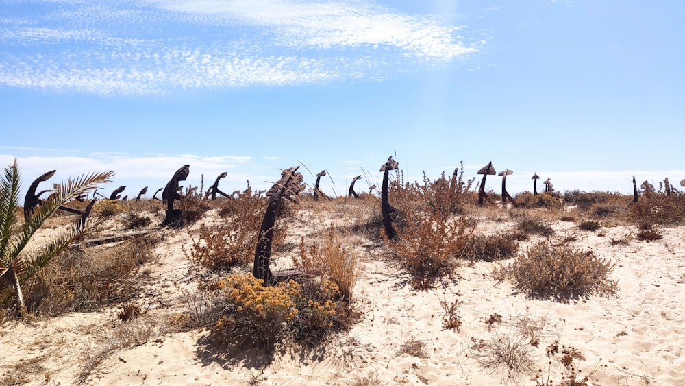 a desert with a few people walking