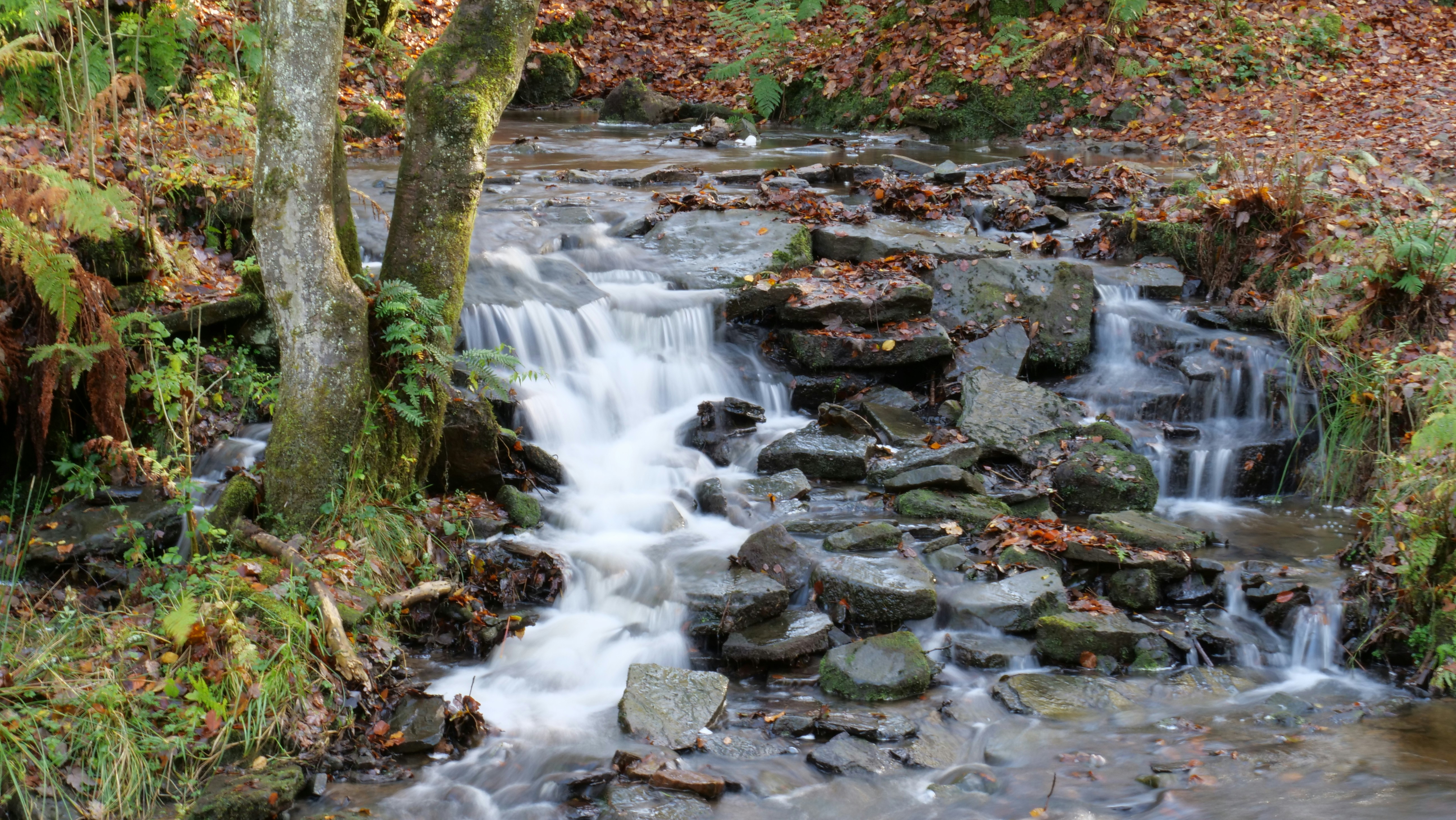 Photo by bryan151055