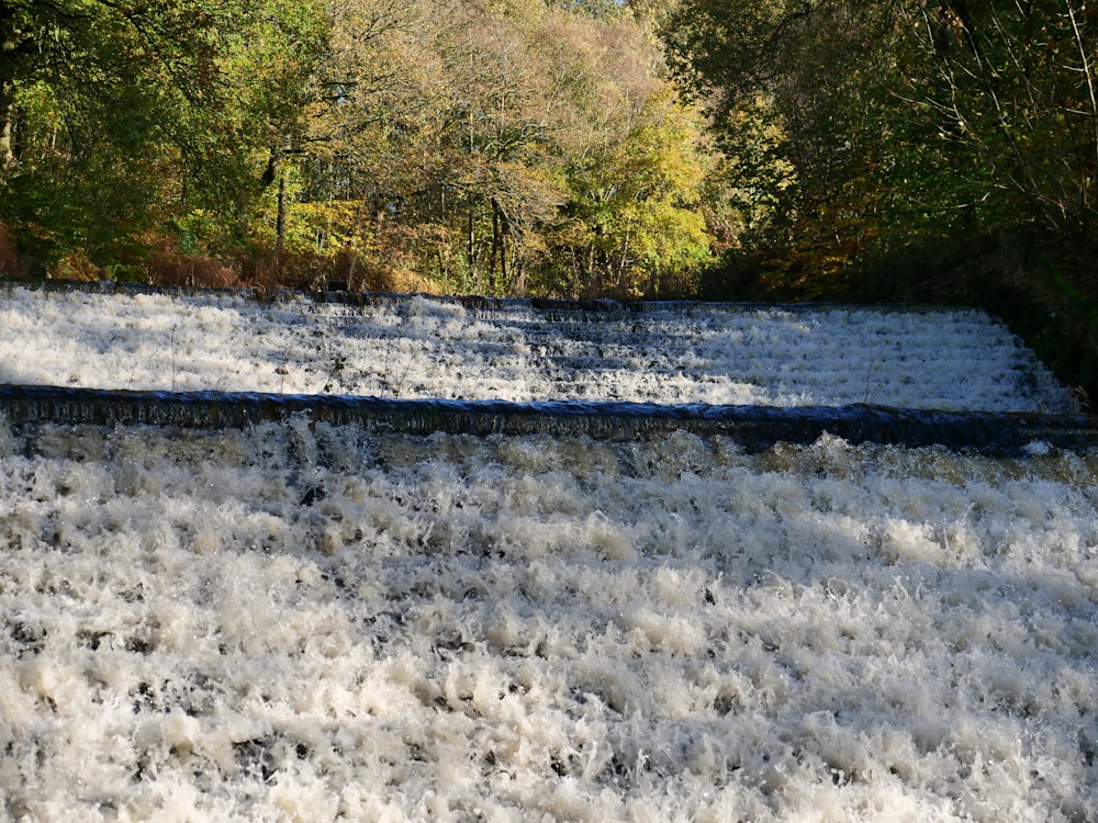 a river with trees on the side