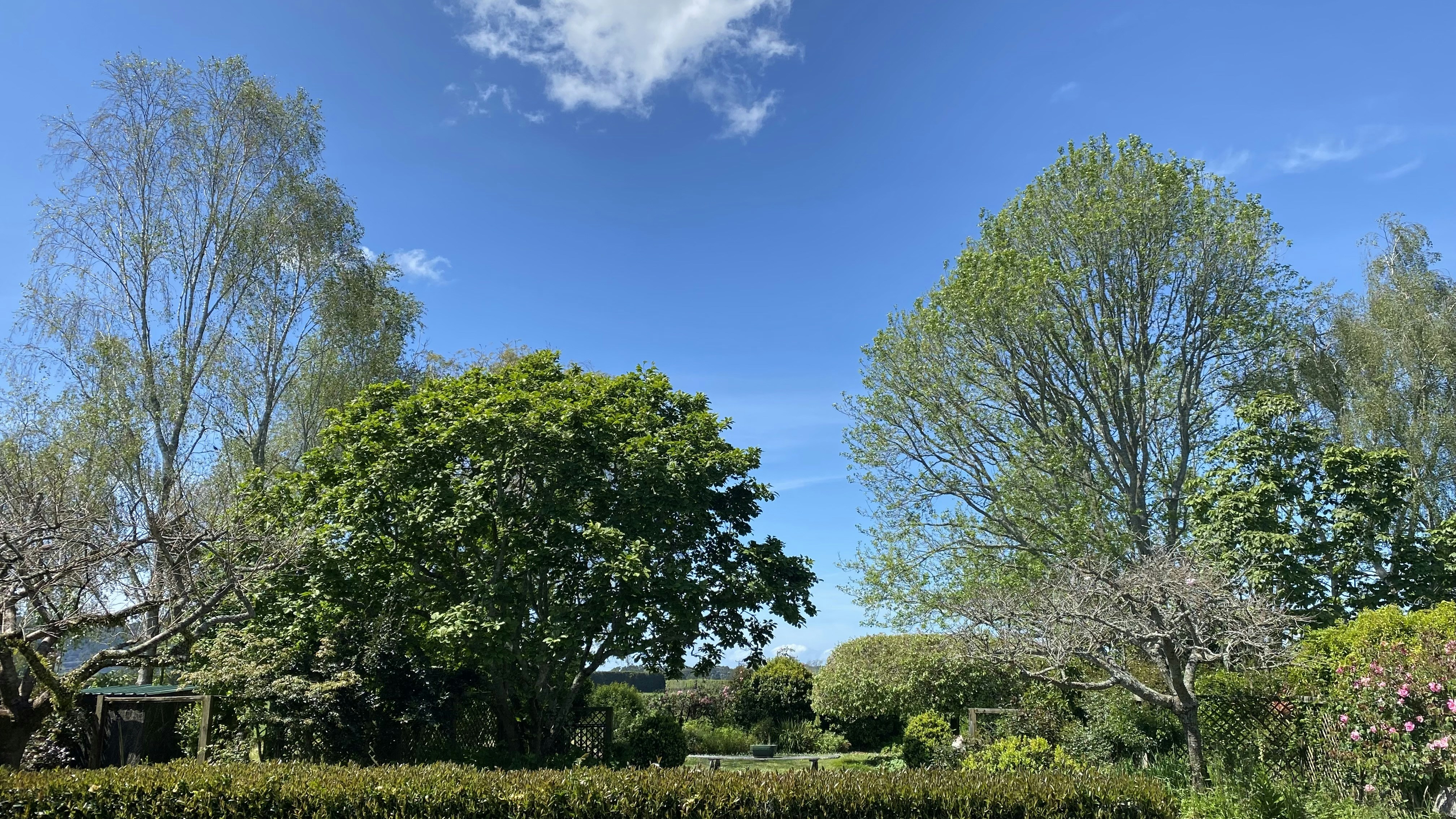 Photo by jmdavies_motorsport