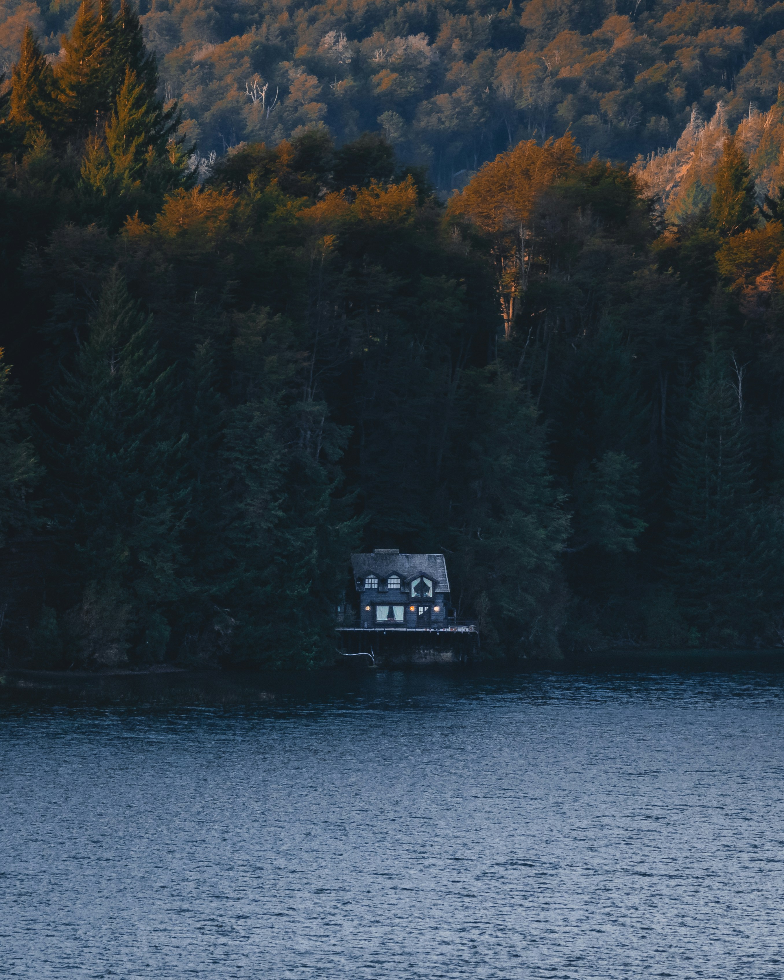 Photo by nature_of_the_experiment