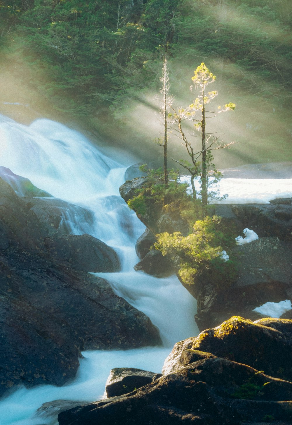 a small waterfall with trees