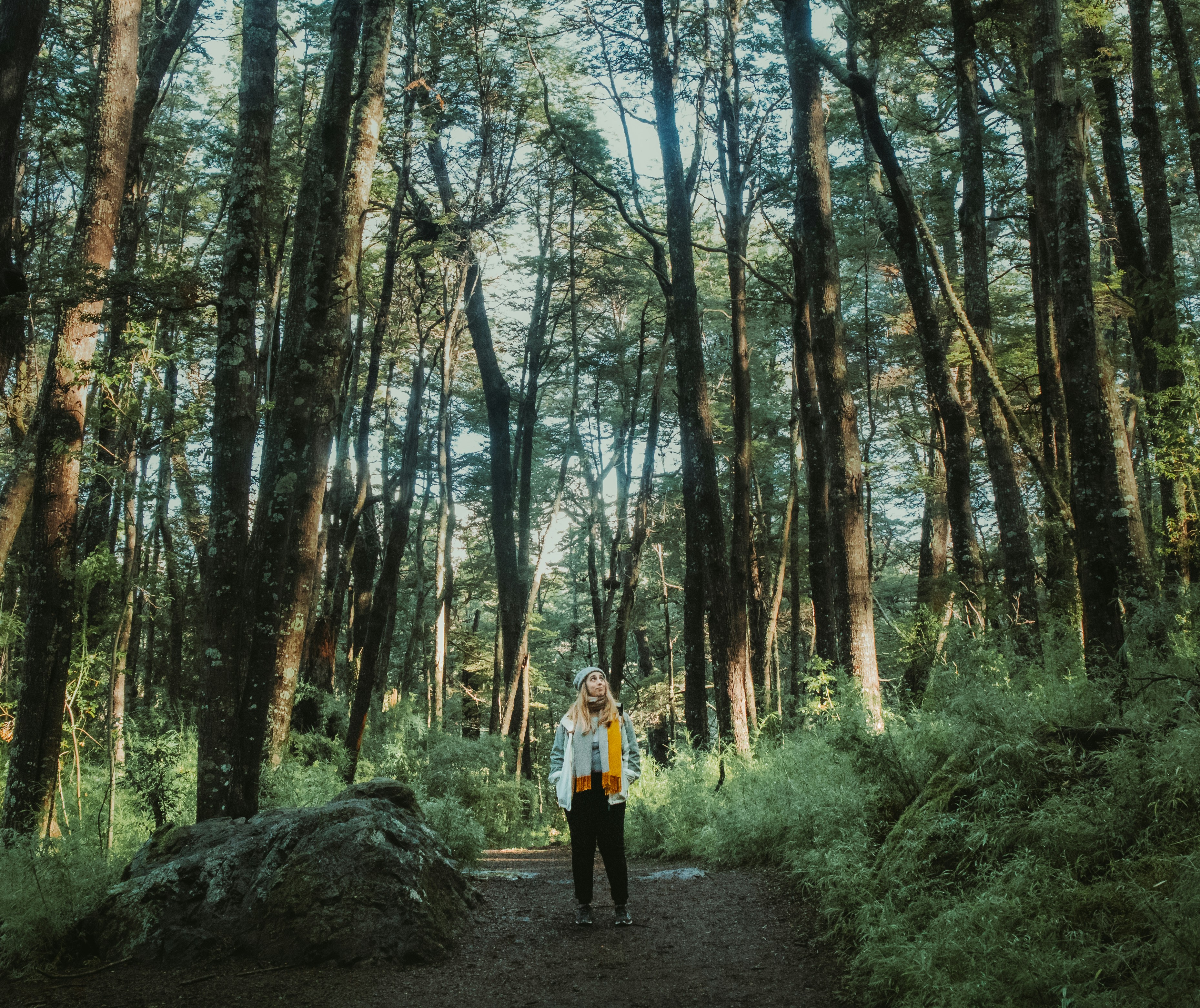 Photo by nature_of_the_experiment