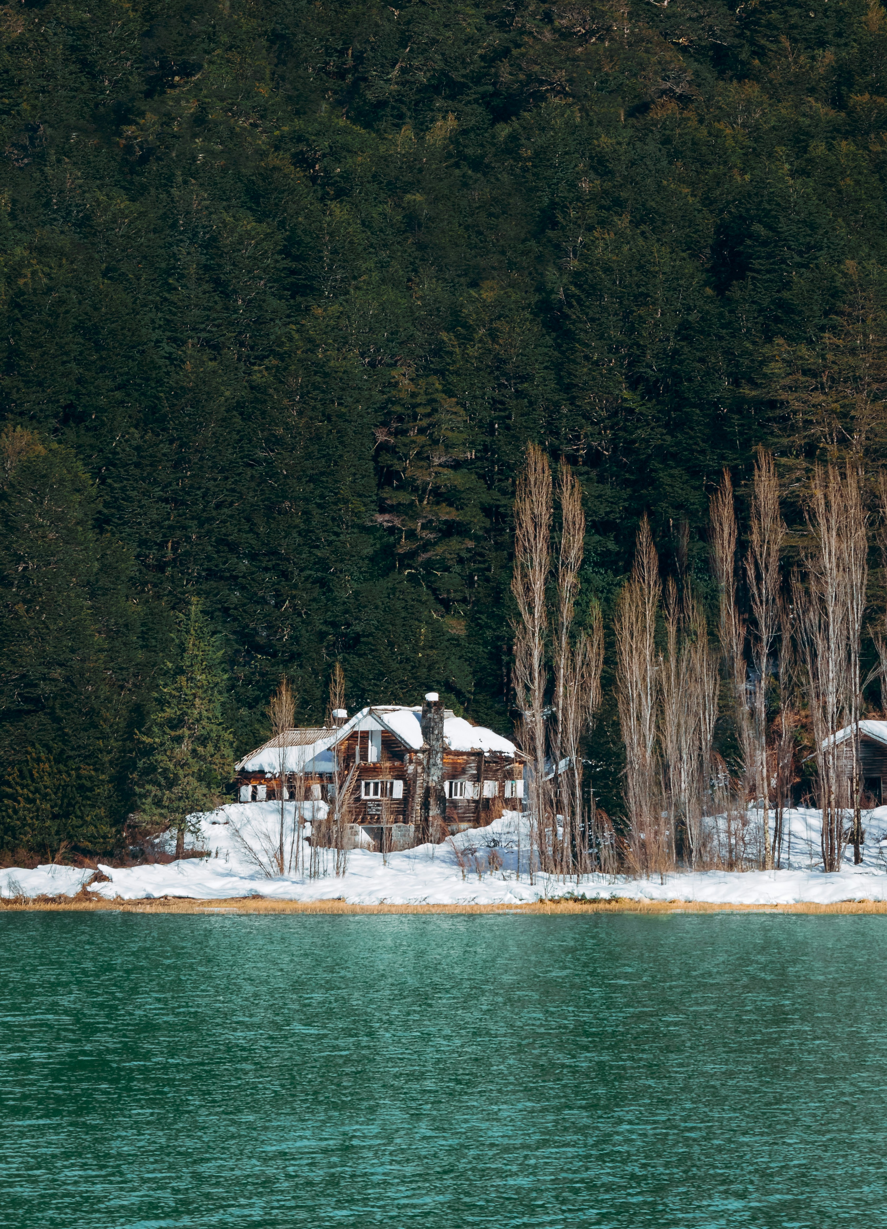 Photo by nature_of_the_experiment