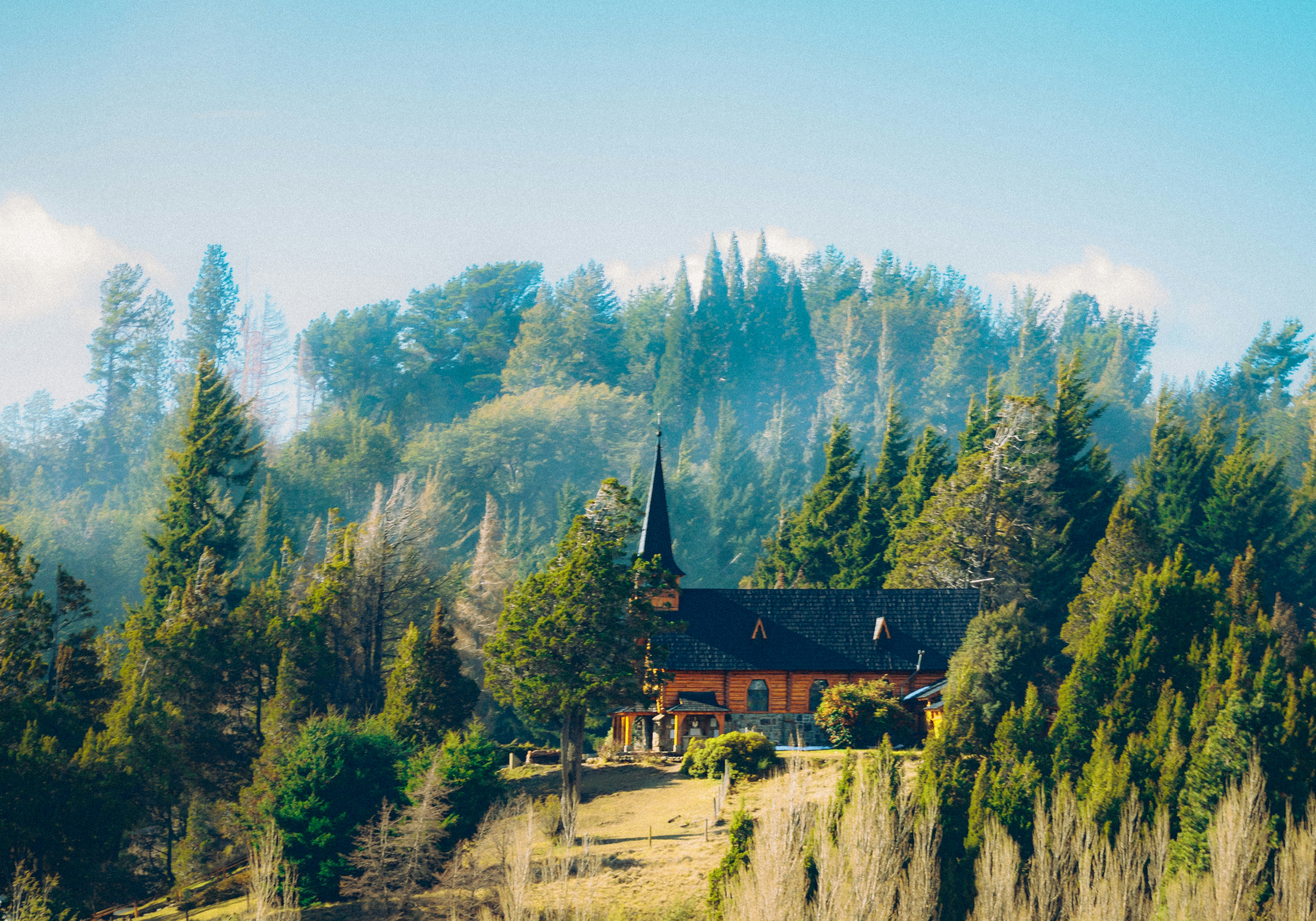 Photo by nature_of_the_experiment