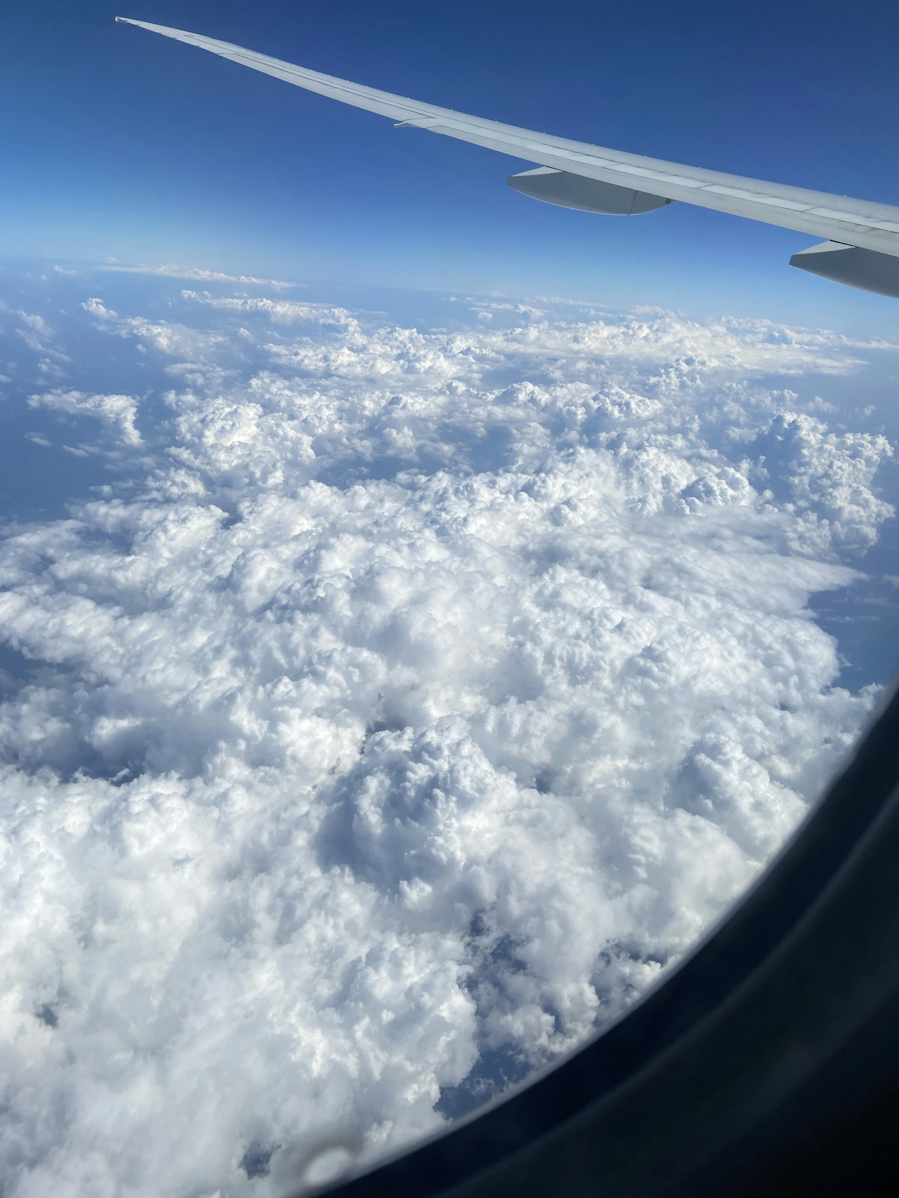 Photo by imwox_9160781_sink