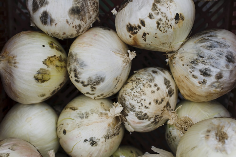 a group of white onions