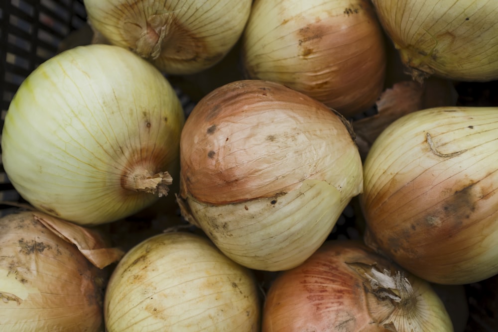 a group of onions