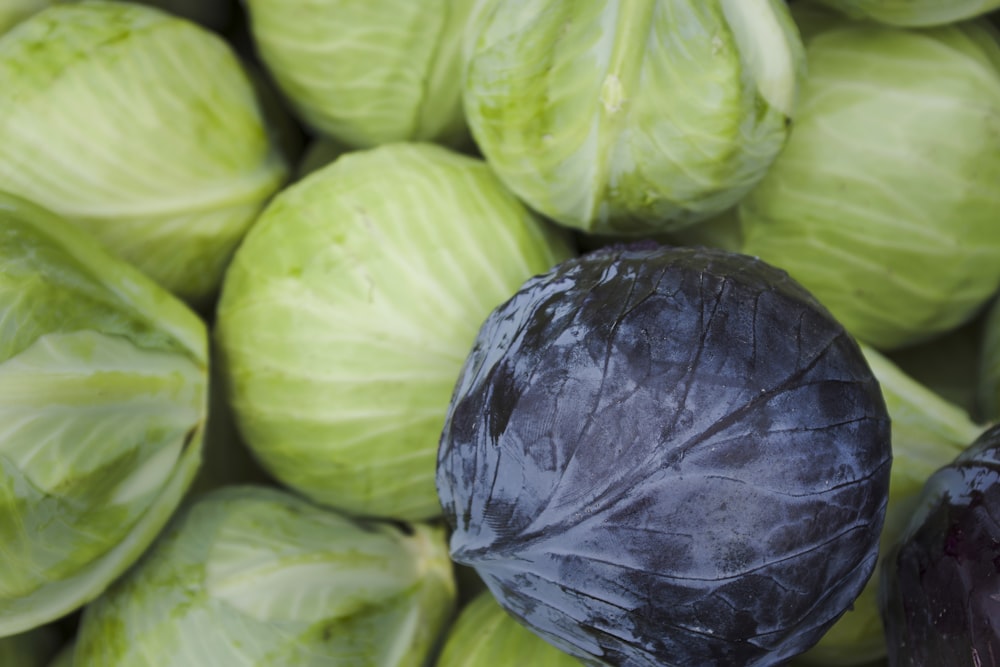 a group of green and purple vegetables