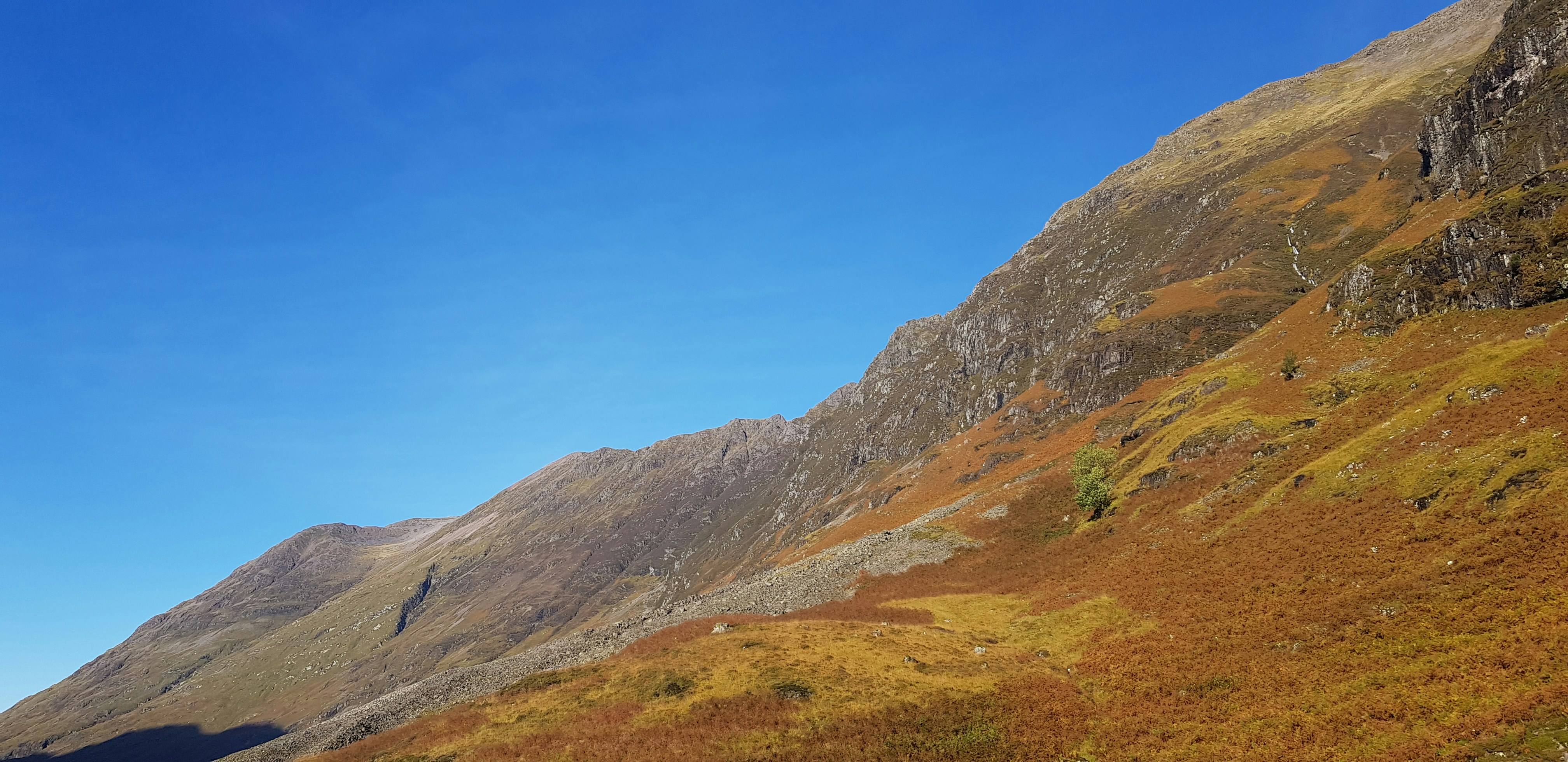 Grassy hill with blue sky