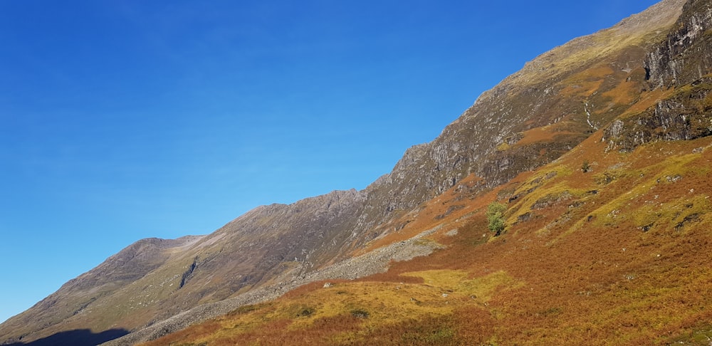 a grassy hill with a blue sky