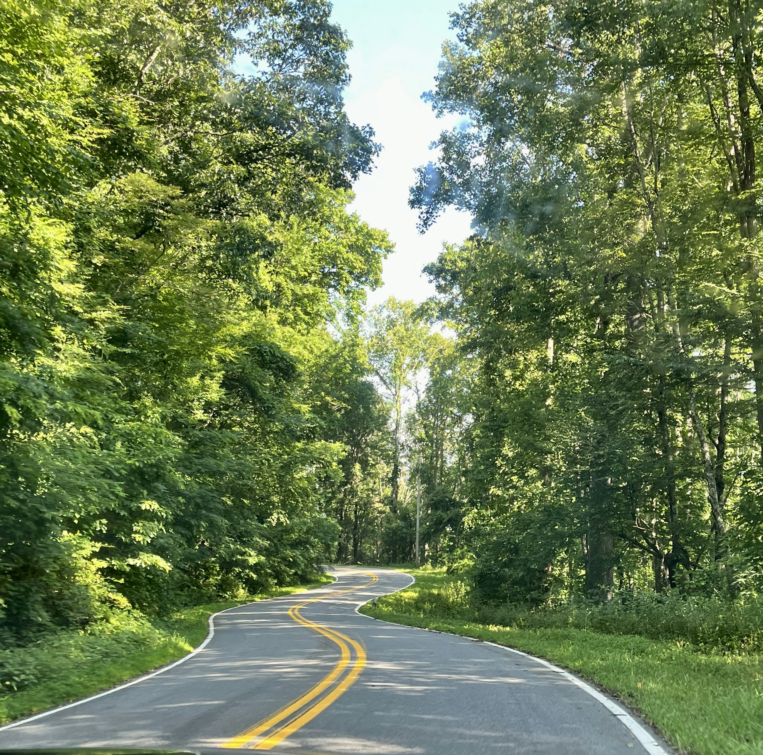 Photo by jackieoco13