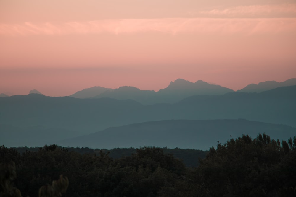 Eine Landschaft mit Hügeln und Bäumen