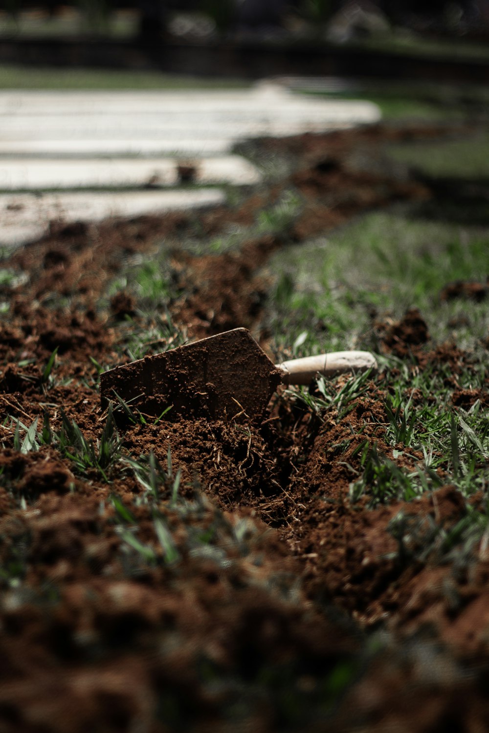 a small tree stump in a patch of grass