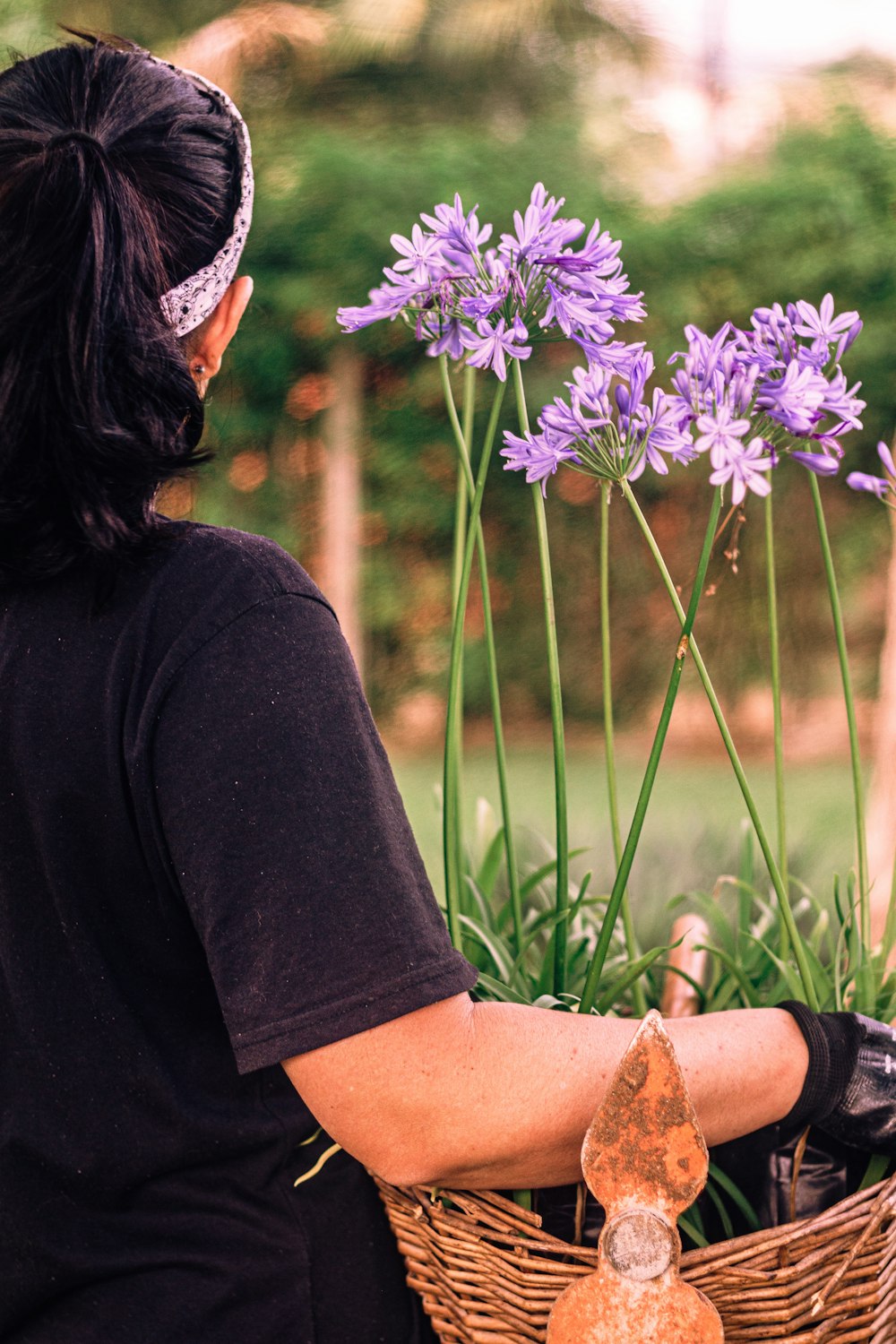 a person looking at a purple flower