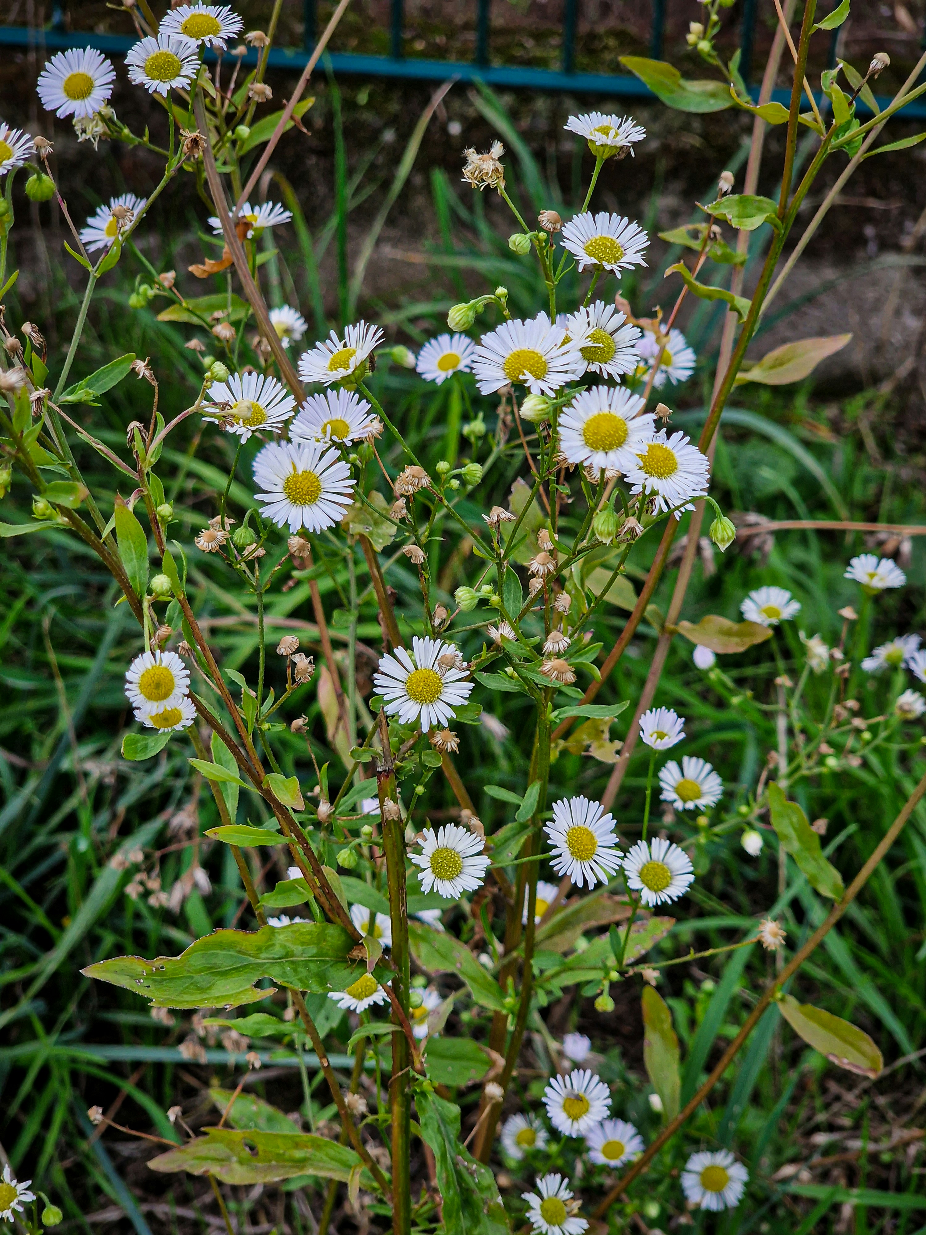 Photo by meshaal_hajali