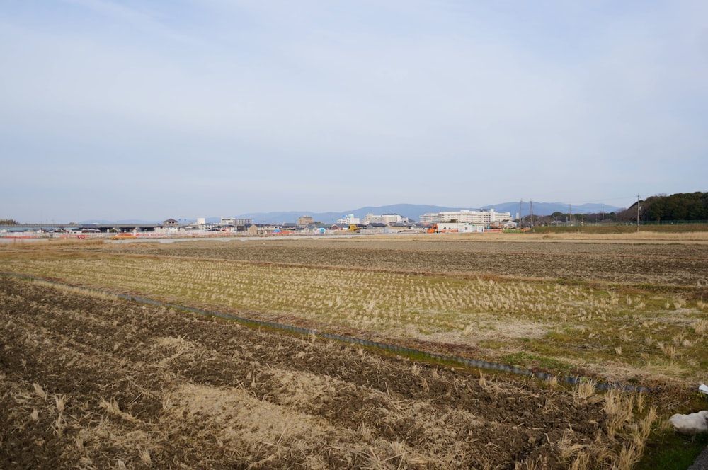 a field with a few buildings in the distance