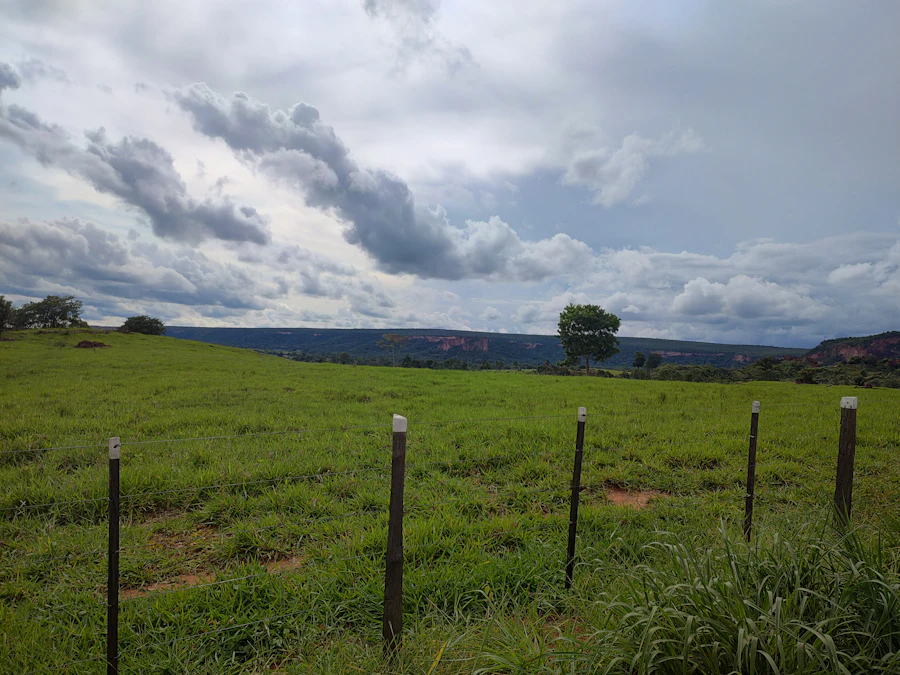 Terrenos
